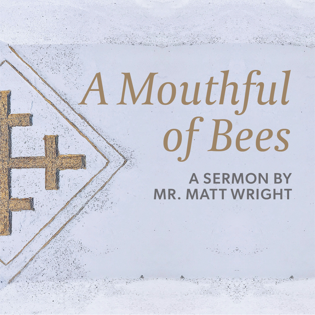 A Mouthful of Bees