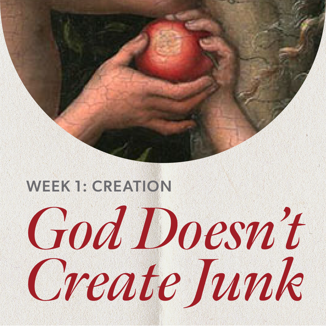 God Doesn’t Create Junk