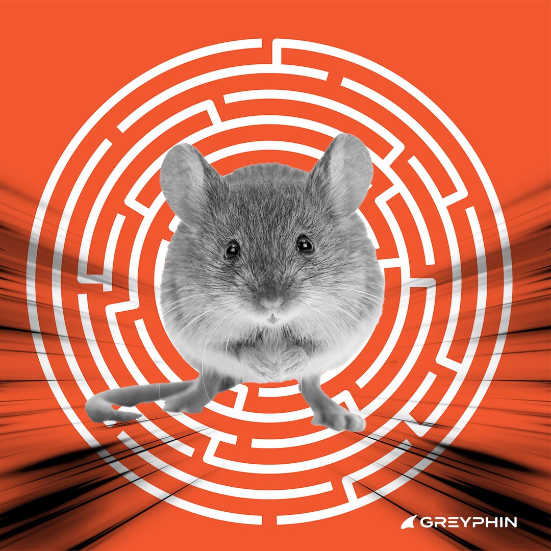 mouse.jpg