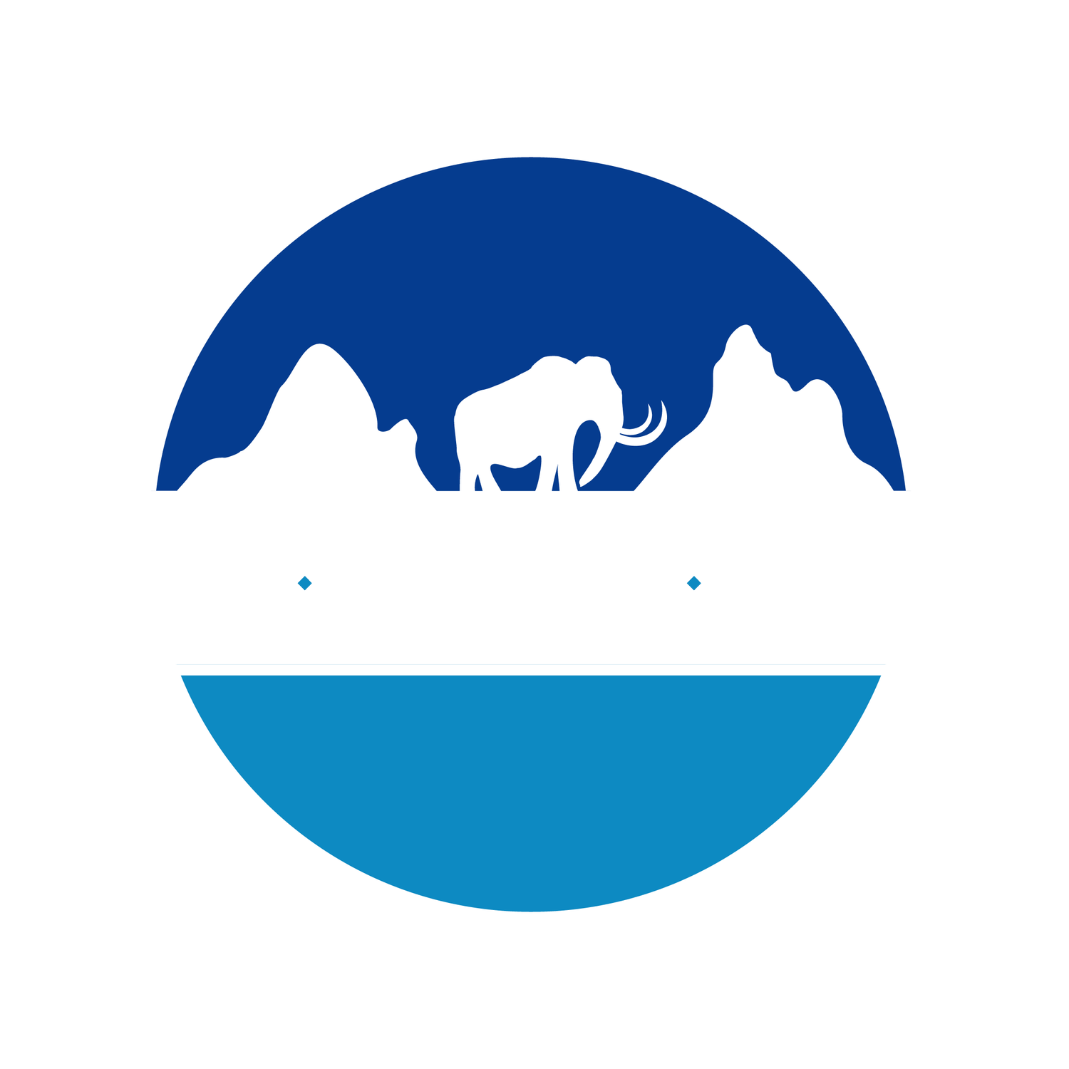 Wilderness Mountain Water Company
