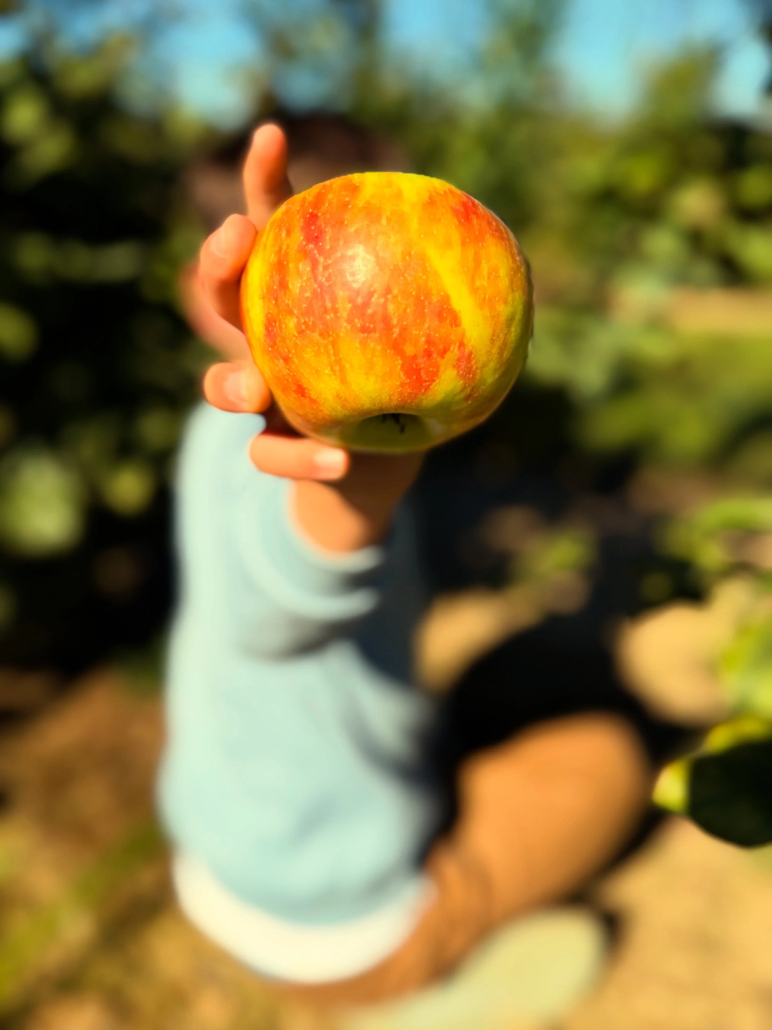 Why What Kids Eat Affects More Than Their Bodies