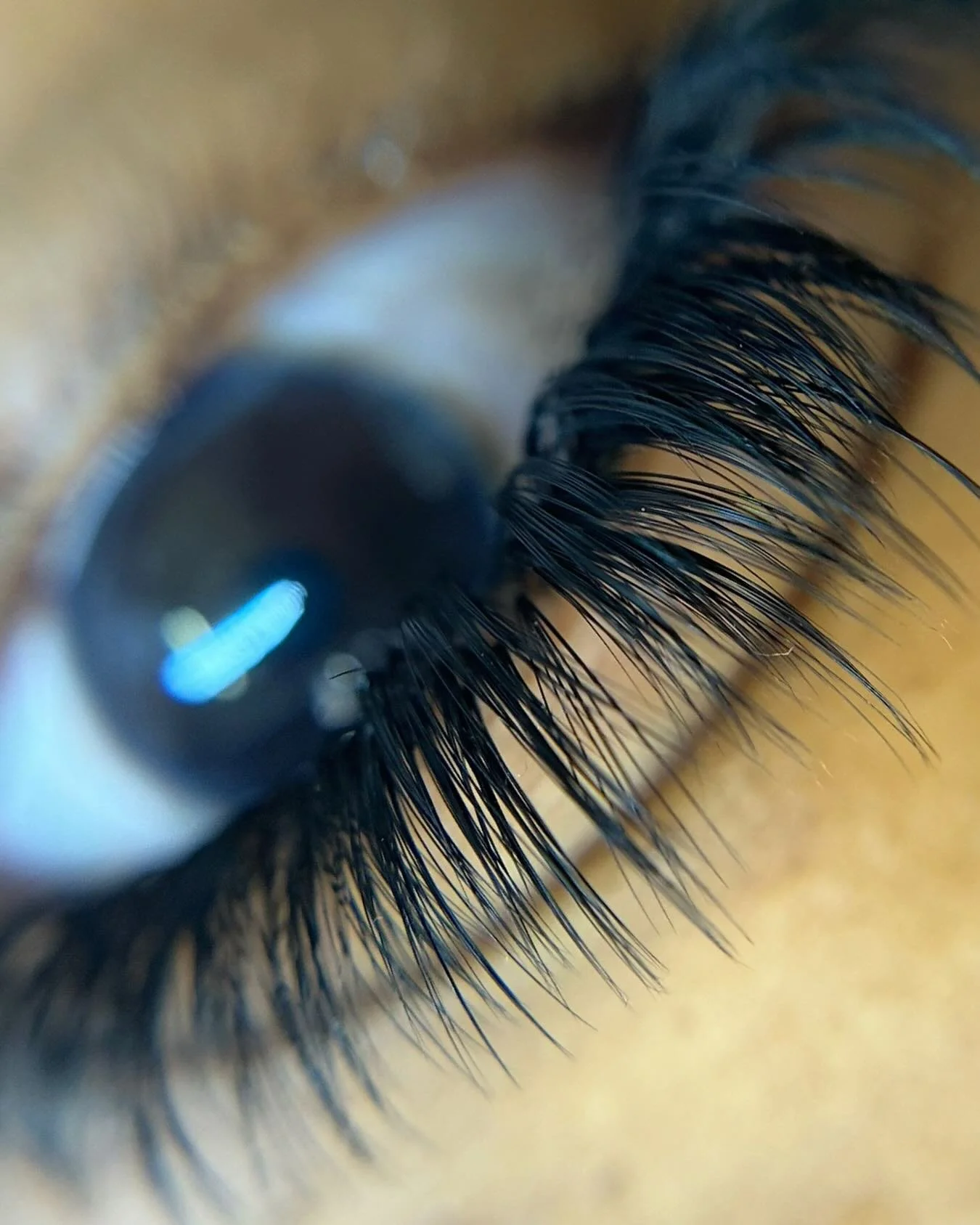 T E X T U R E ✨

Texture is magic in lash sets. It&rsquo;s probably the number one thing I am told when clients come in to get their lashes done, they want some texture! 

Just say the word &amp; I will create the magic!
I am always accepting new cli