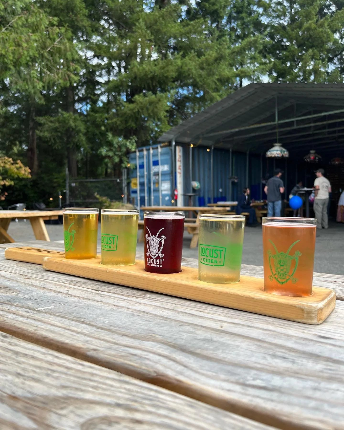 Locust Cider Gig Harbor Beer Garden