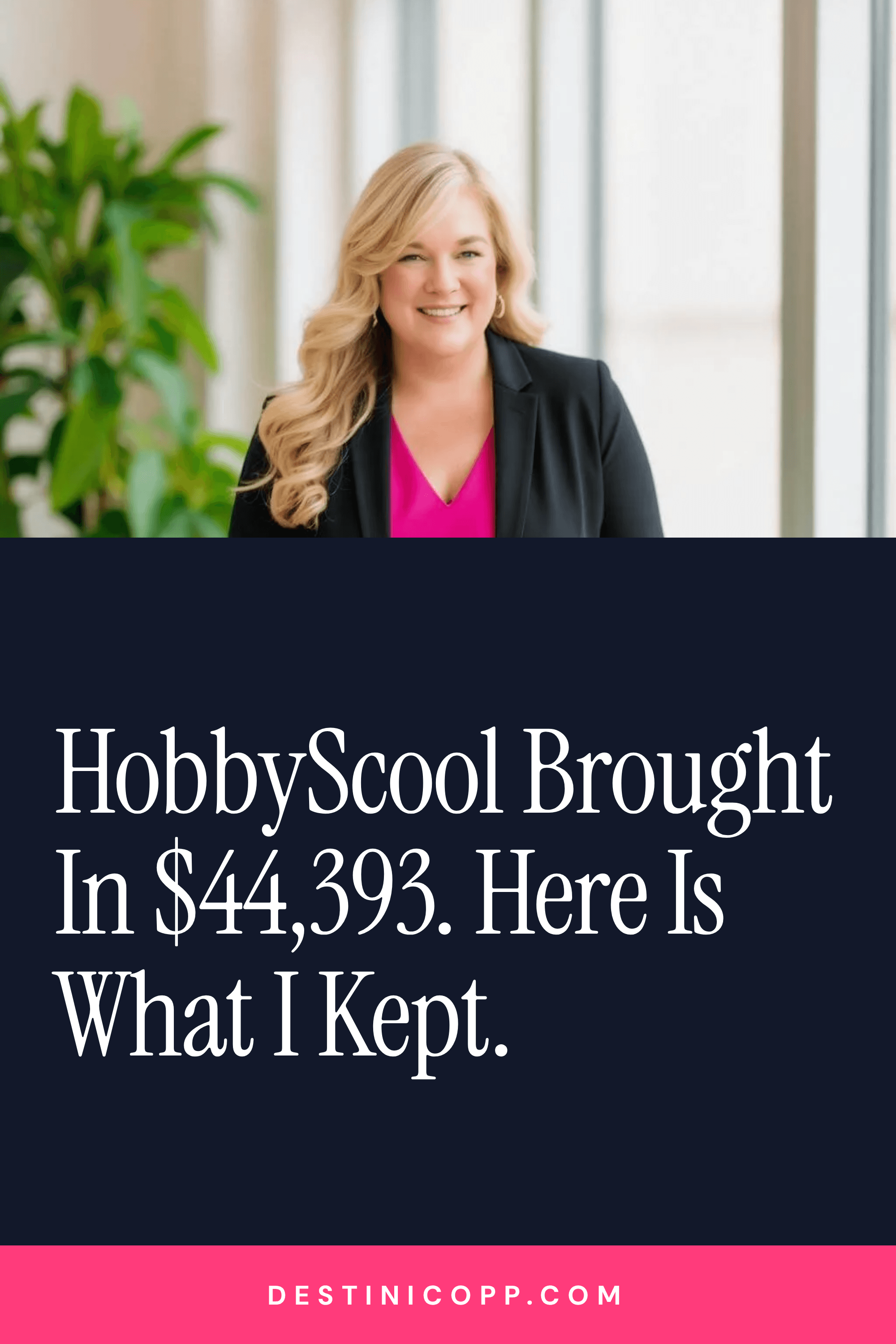 HobbyScool Brought In $44,393. Here Is What I Kept.