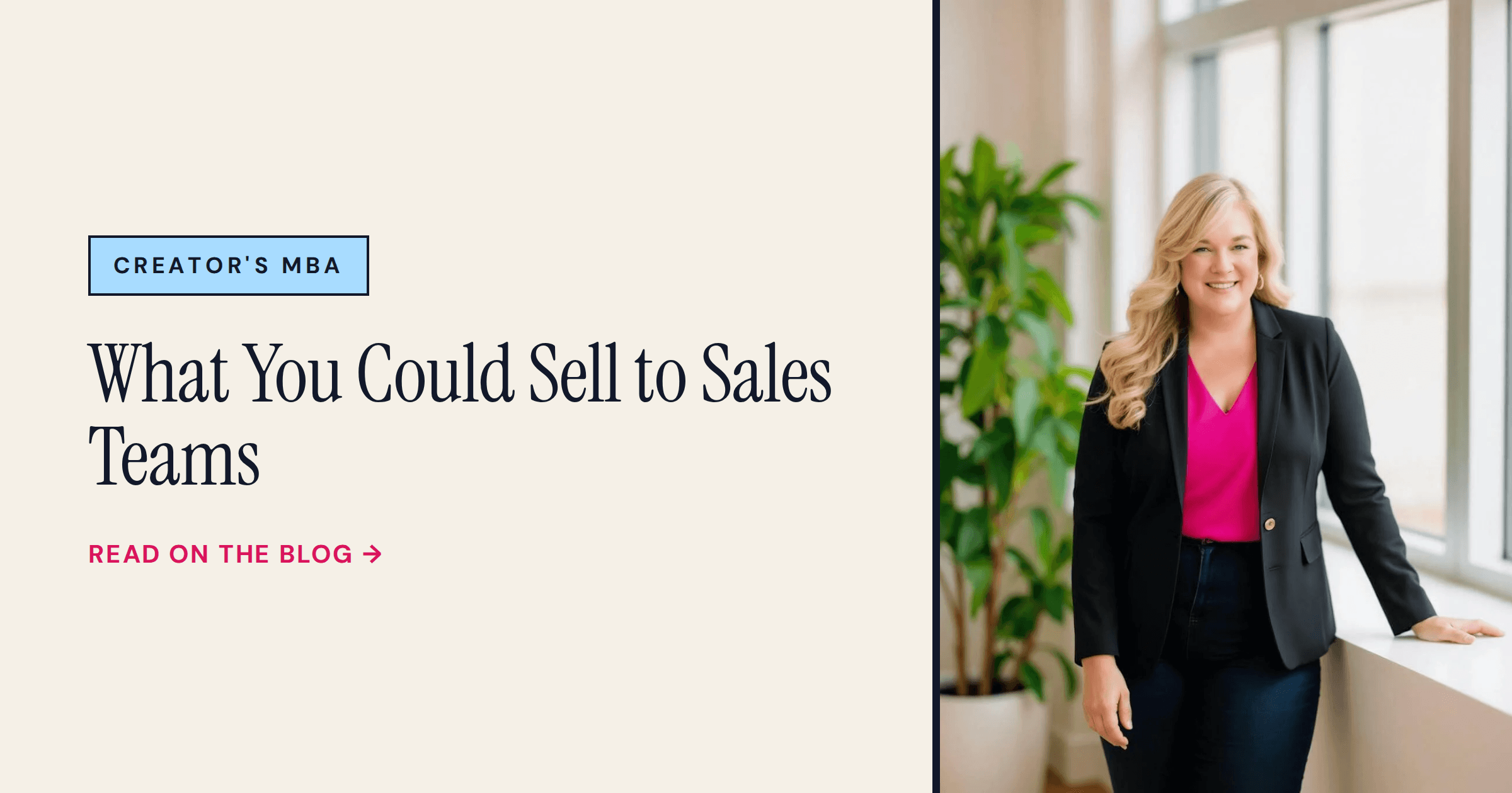 What You Could Sell to Sales Teams