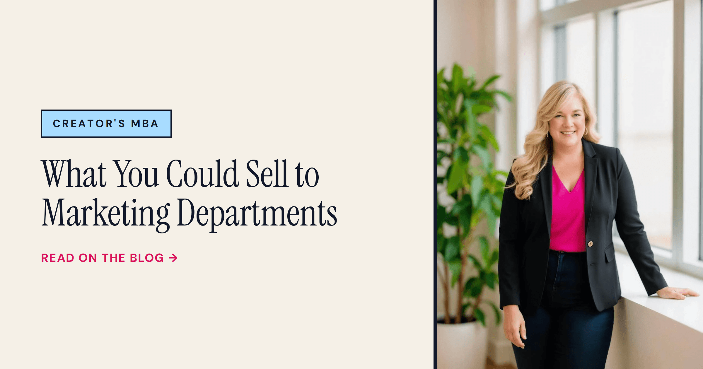 What You Could Sell to Marketing Departments