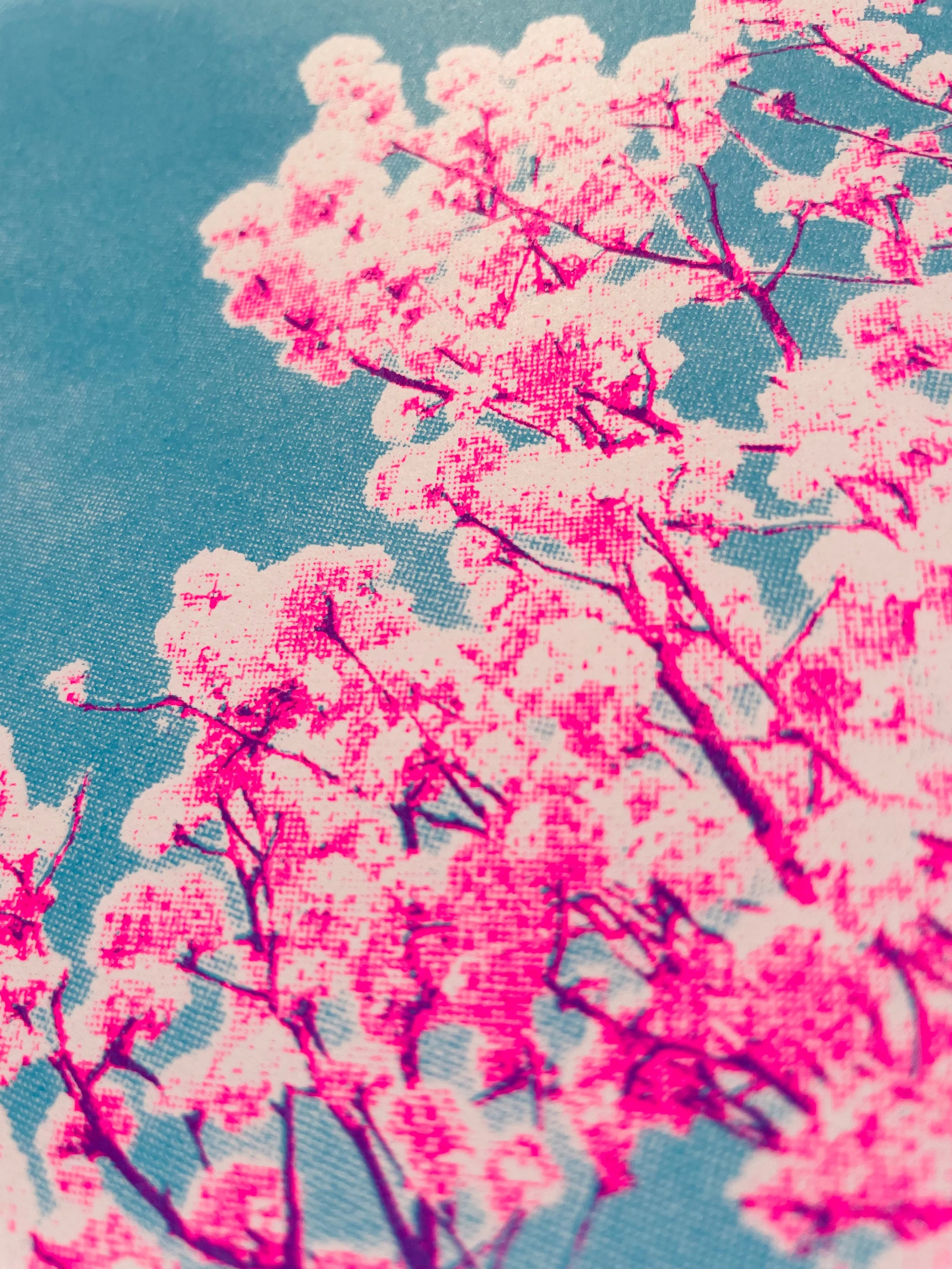 image_d5a60a37-34da-465f-a93b-c7b899abbeb1.jpg