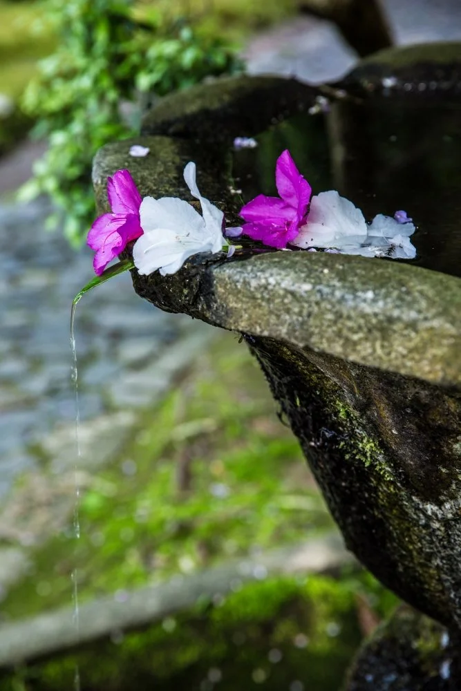 Kyoto, Japan