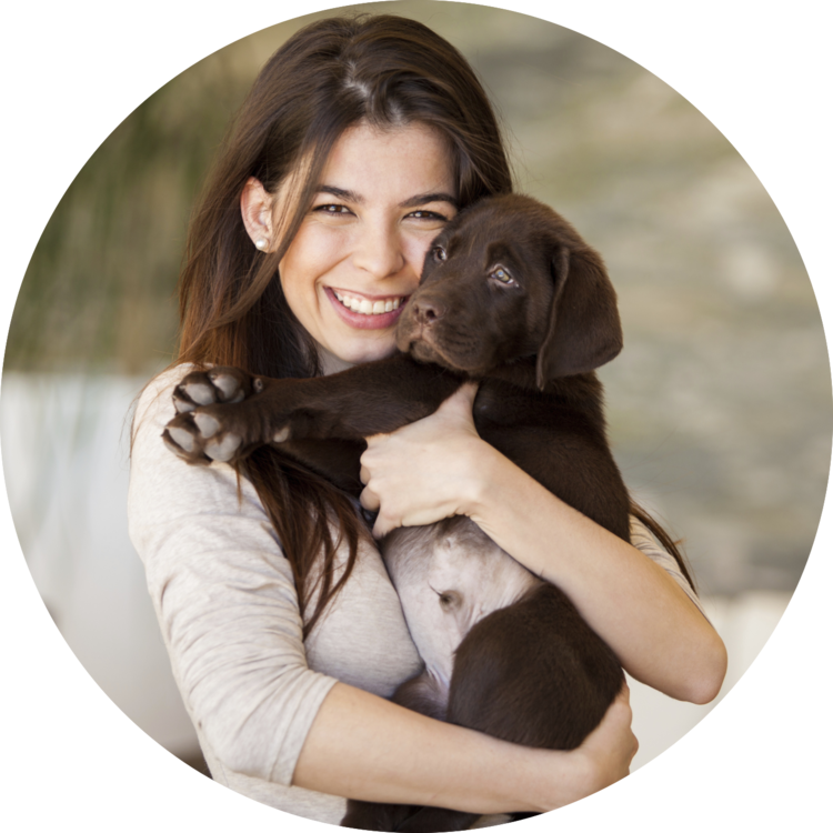 Dog Walking Jobs in Manhattan NYC MixyPaws