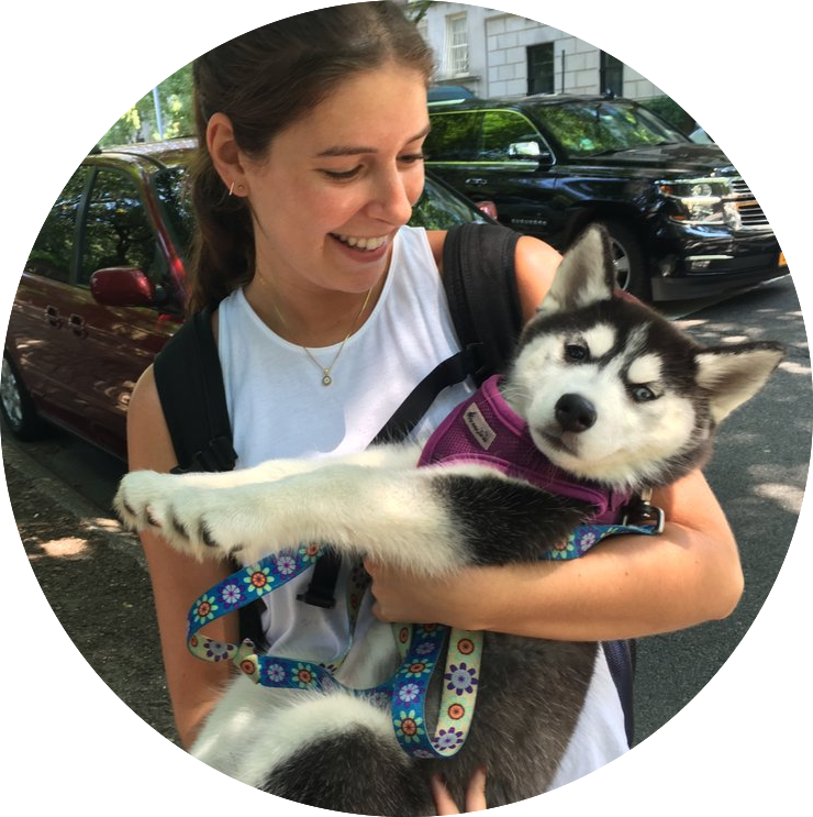 Dog Walking Jobs in Manhattan and Brooklyn