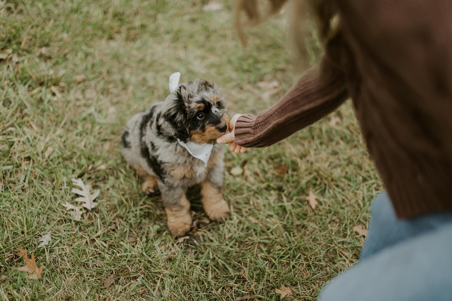 My version of newborn photos 🐶
