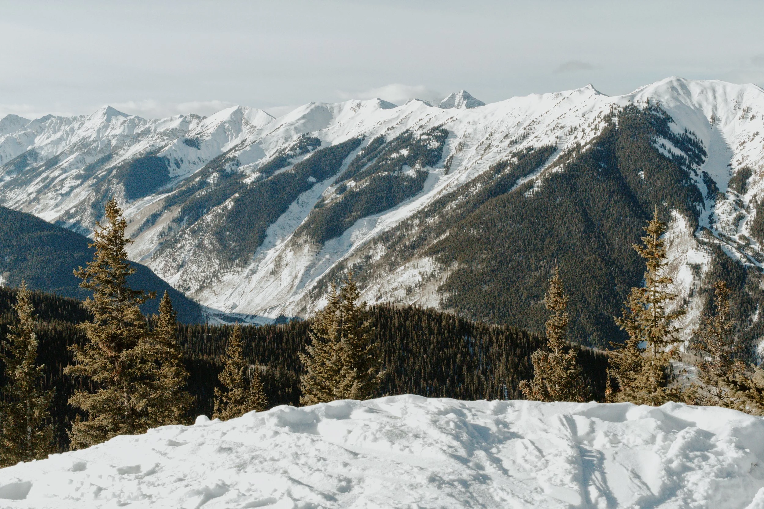 Ultimate Aspen Elopement Guide: Everything You Need to Know