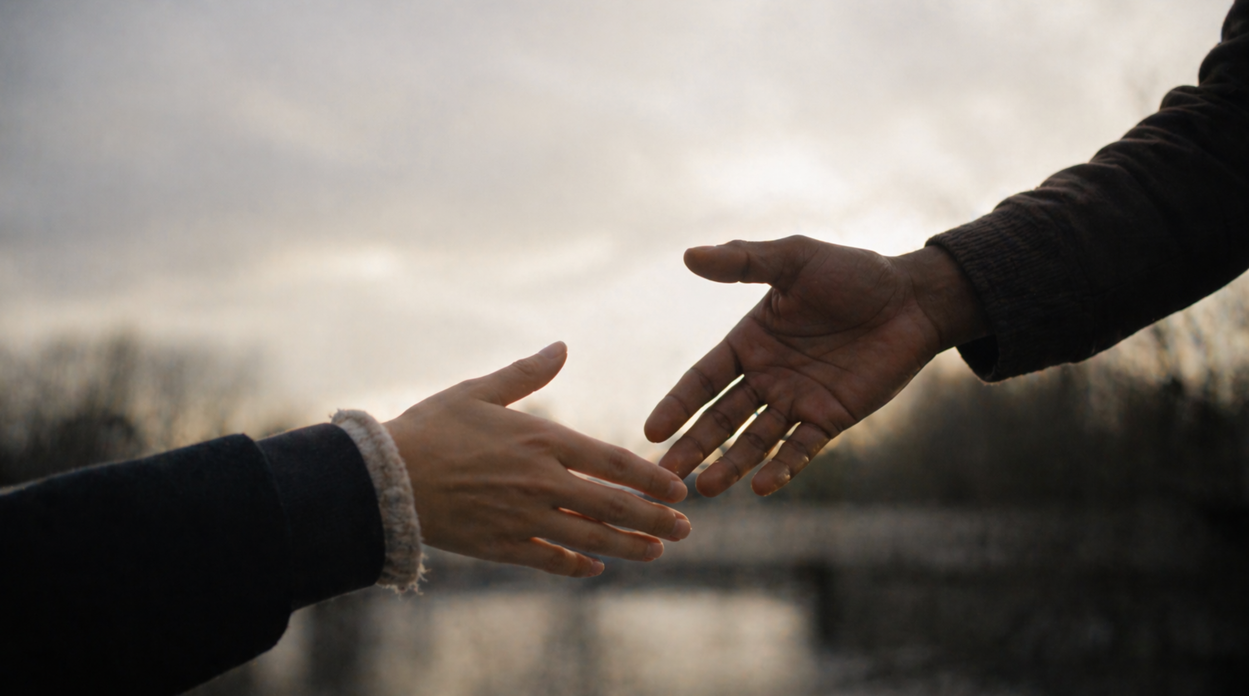 two hands reaching out to shake the other