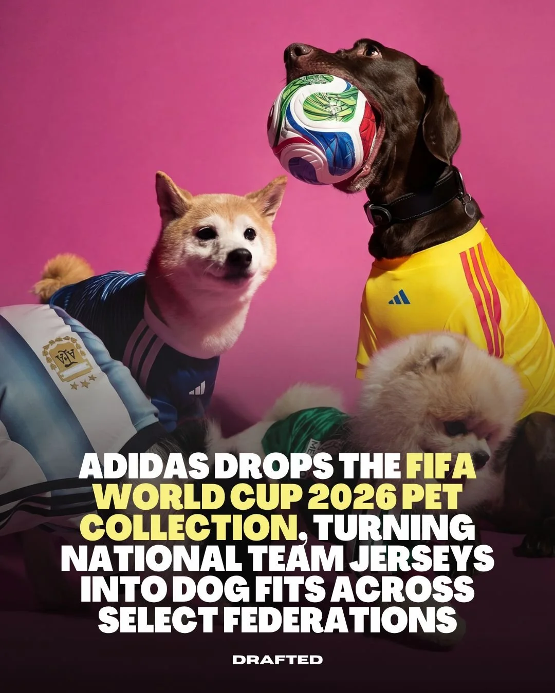 Adidas really said your dog is part of the starting XI! 🐶⚽️

The FIFA World Cup 2026 Pet Collection officially drops May 1, bringing national team jerseys to dogs across select federations like Mexico, Argentina, Colombia, and Japan.

Same colors, s