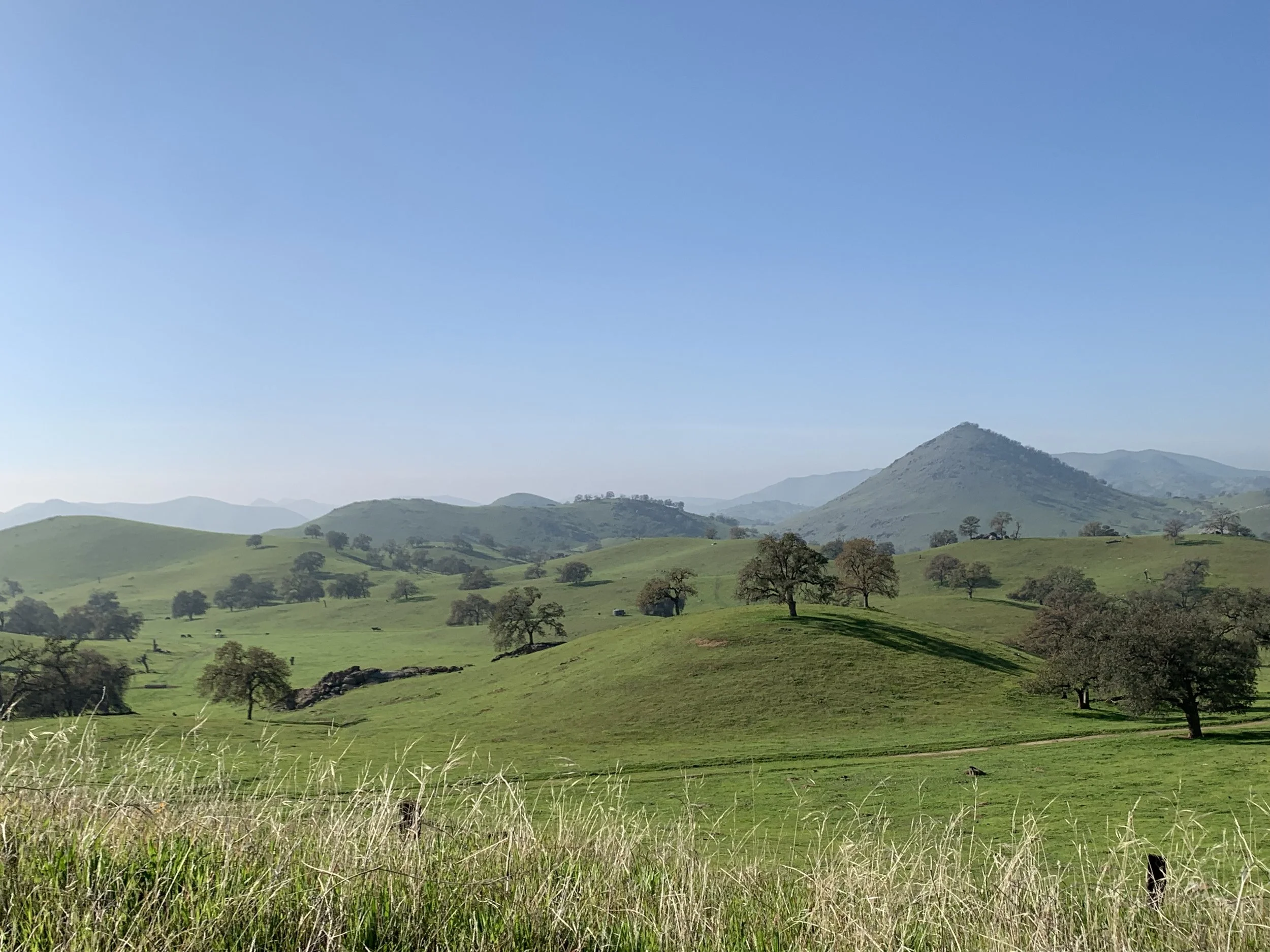 Leadership Team — Tulare Basin Watershed Network