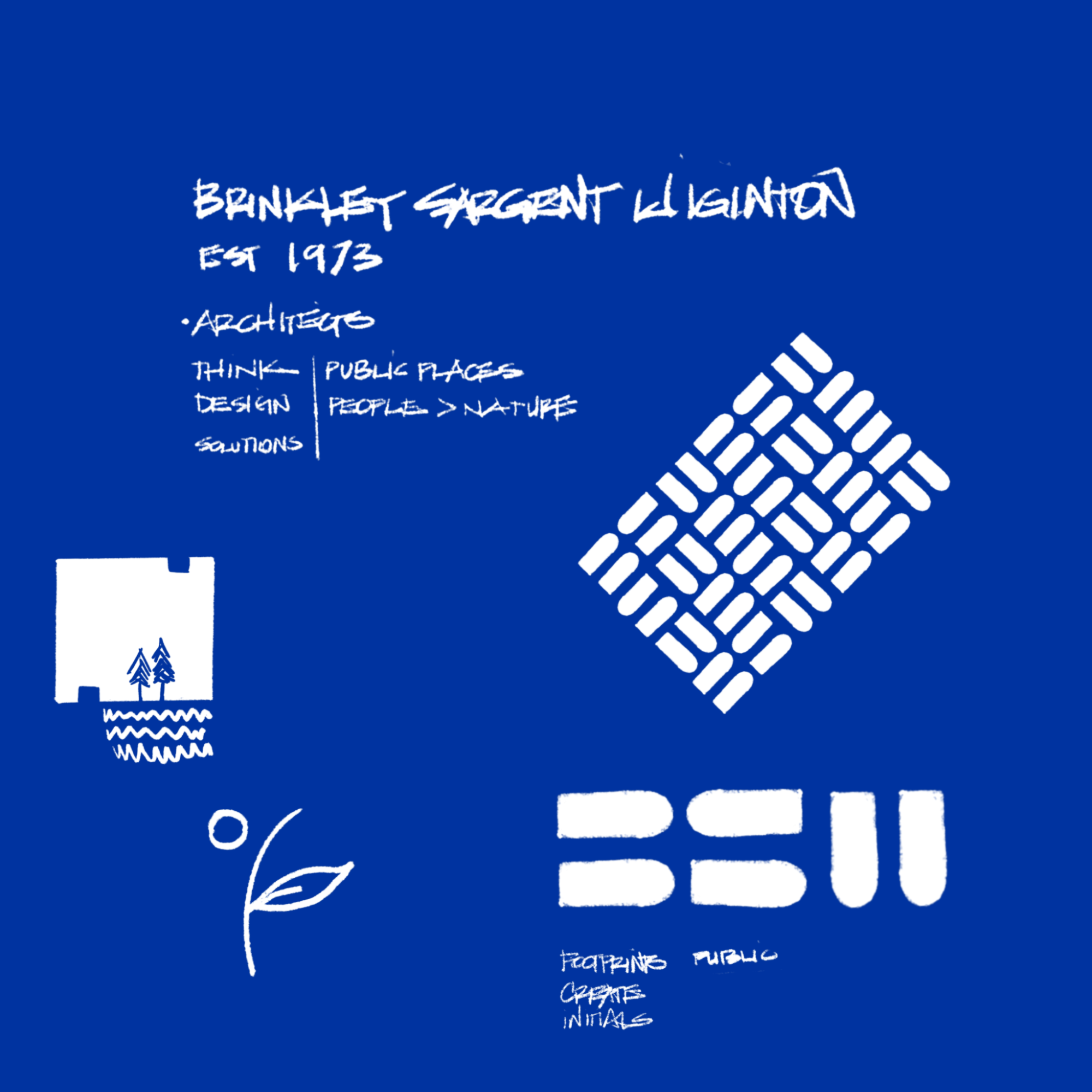 BSW Concepts_dk.pdf.png