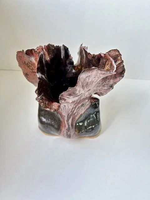 Hand Built, Speckled Buff clay, Two glazes. Fired to Cone 5 in home kiln. 
Dimensions: 10" x 8" 