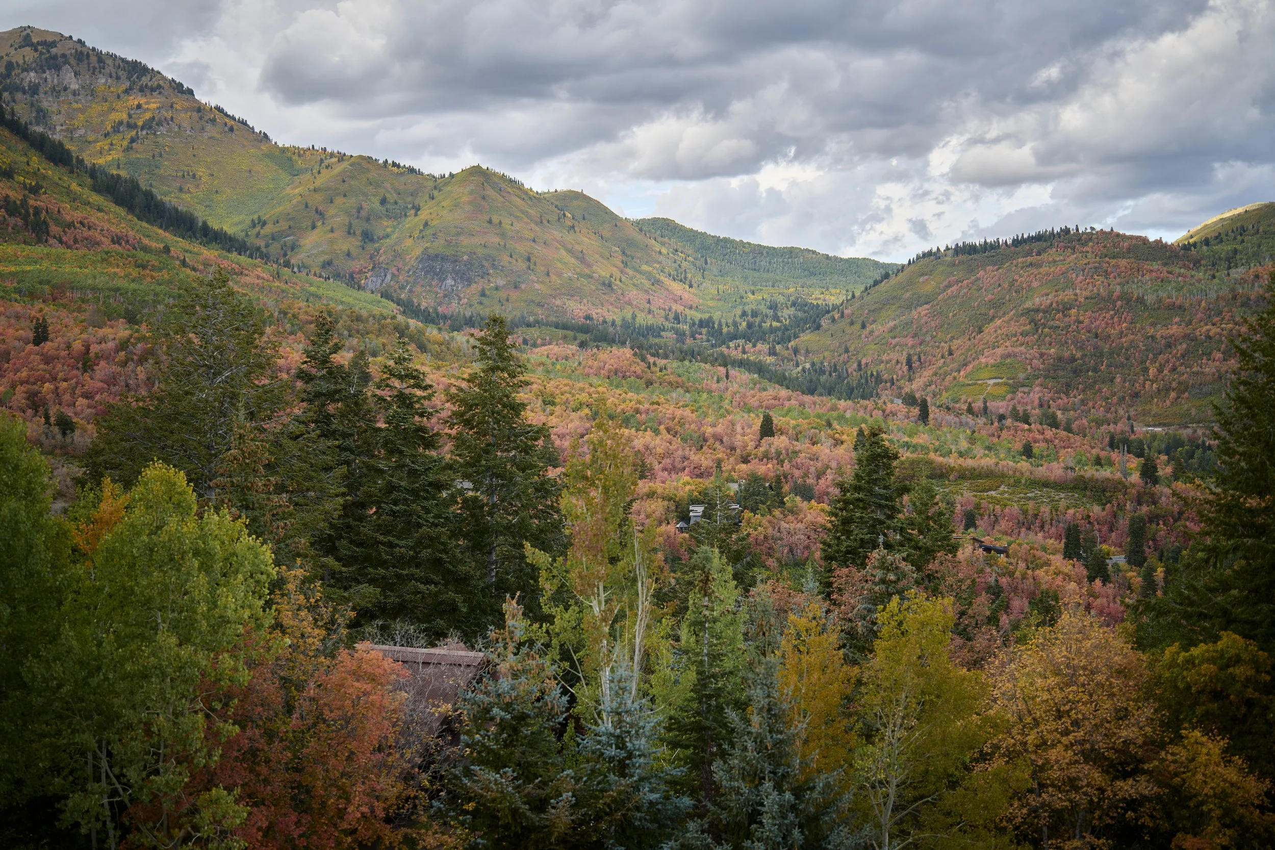 Fall color at Sundance Mountain Resort at Utah Mountain wedding.