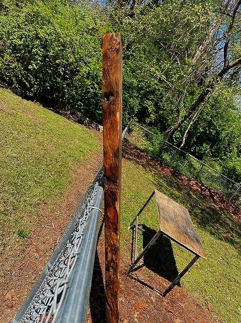 Wood135.jpg