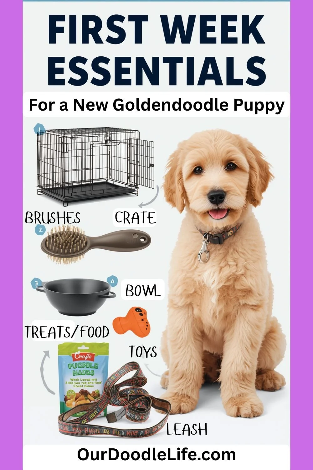 Goldendoodle Puppy First-Week Checklist