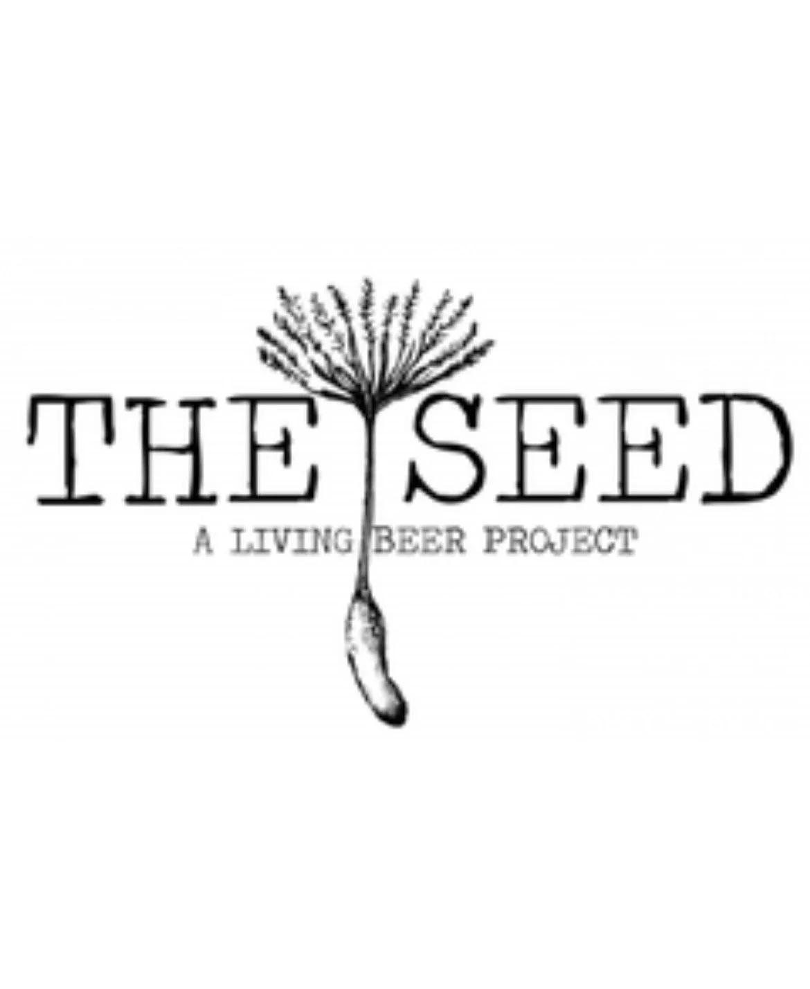 The Seed Brewery 