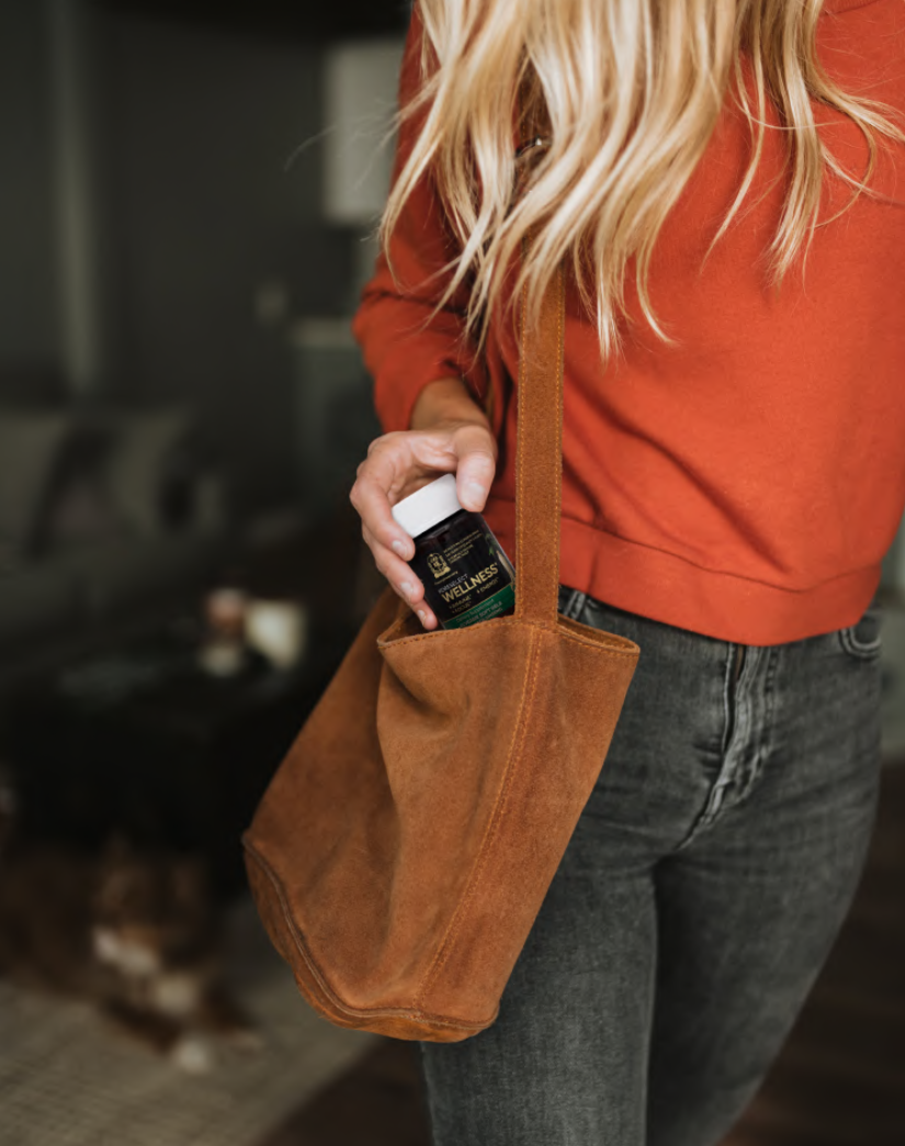 Screen Shot 2022-09-22 at 14.27.28.png