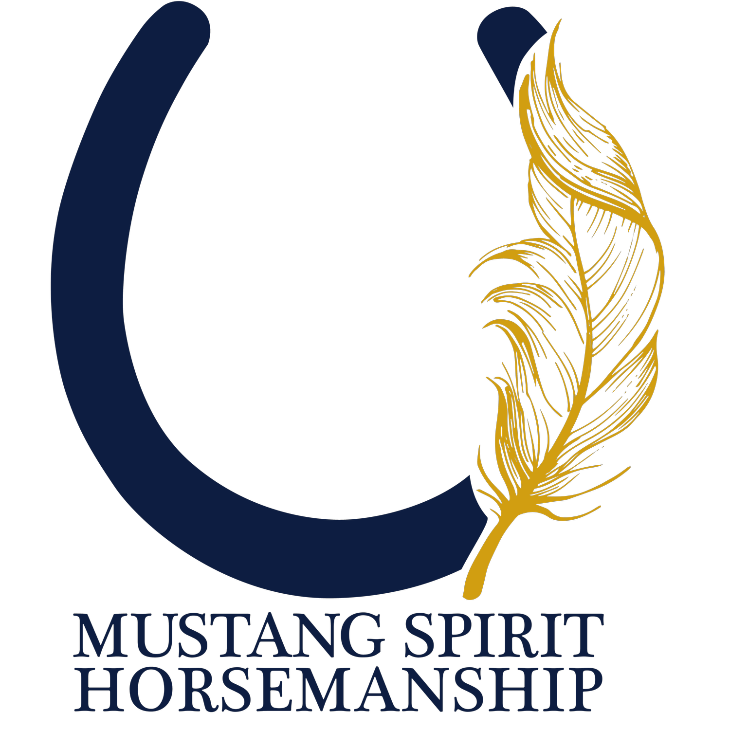 Mustang Spirit Horsemanship LLC