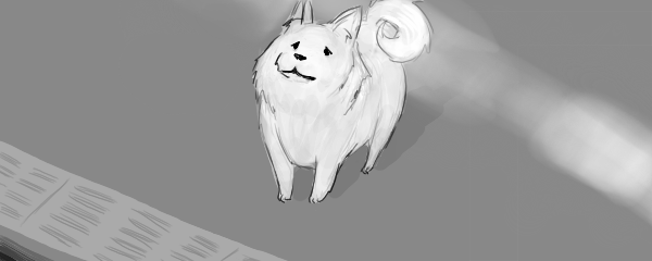 IMG_4611.png