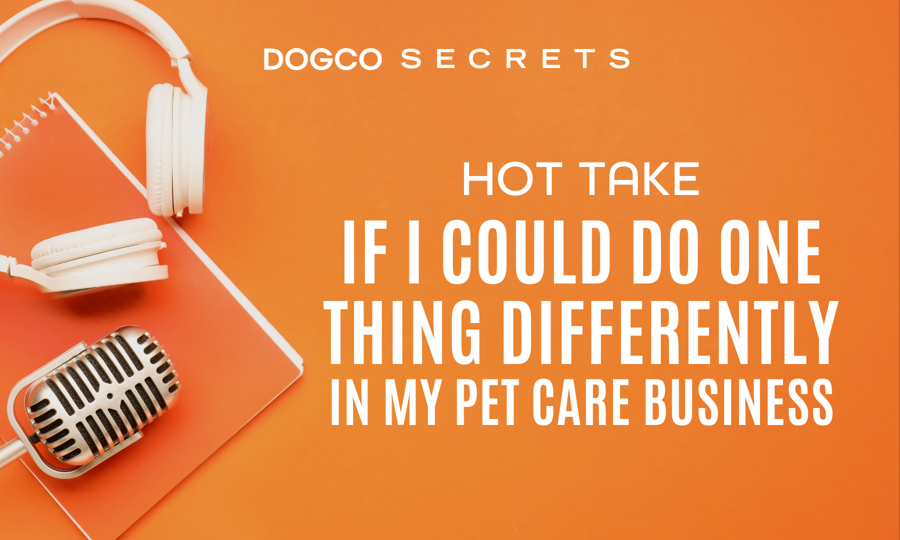 If I Could Change One Thing From Owning My Pet Care Business