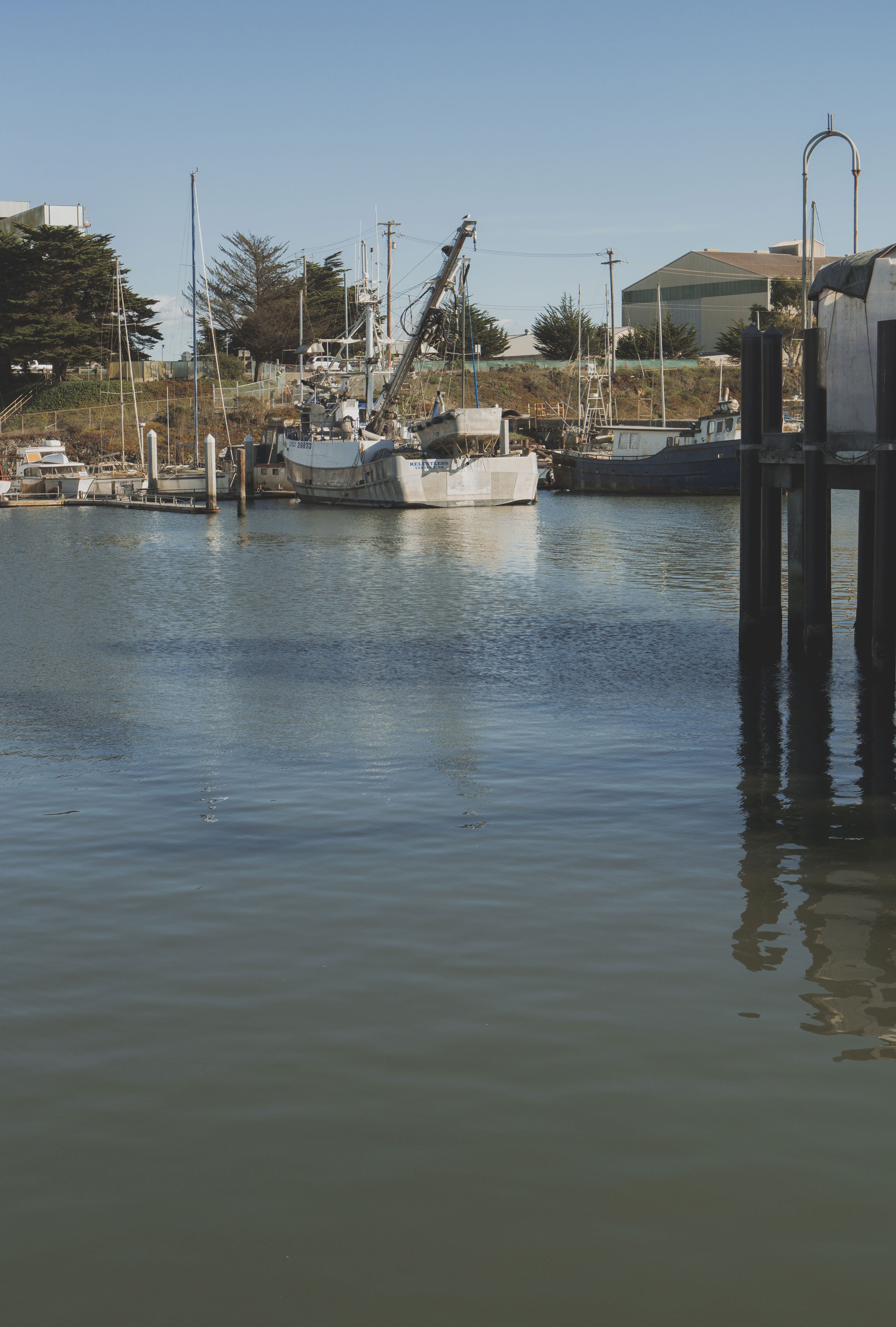 Gallery — Woodward Marine Market