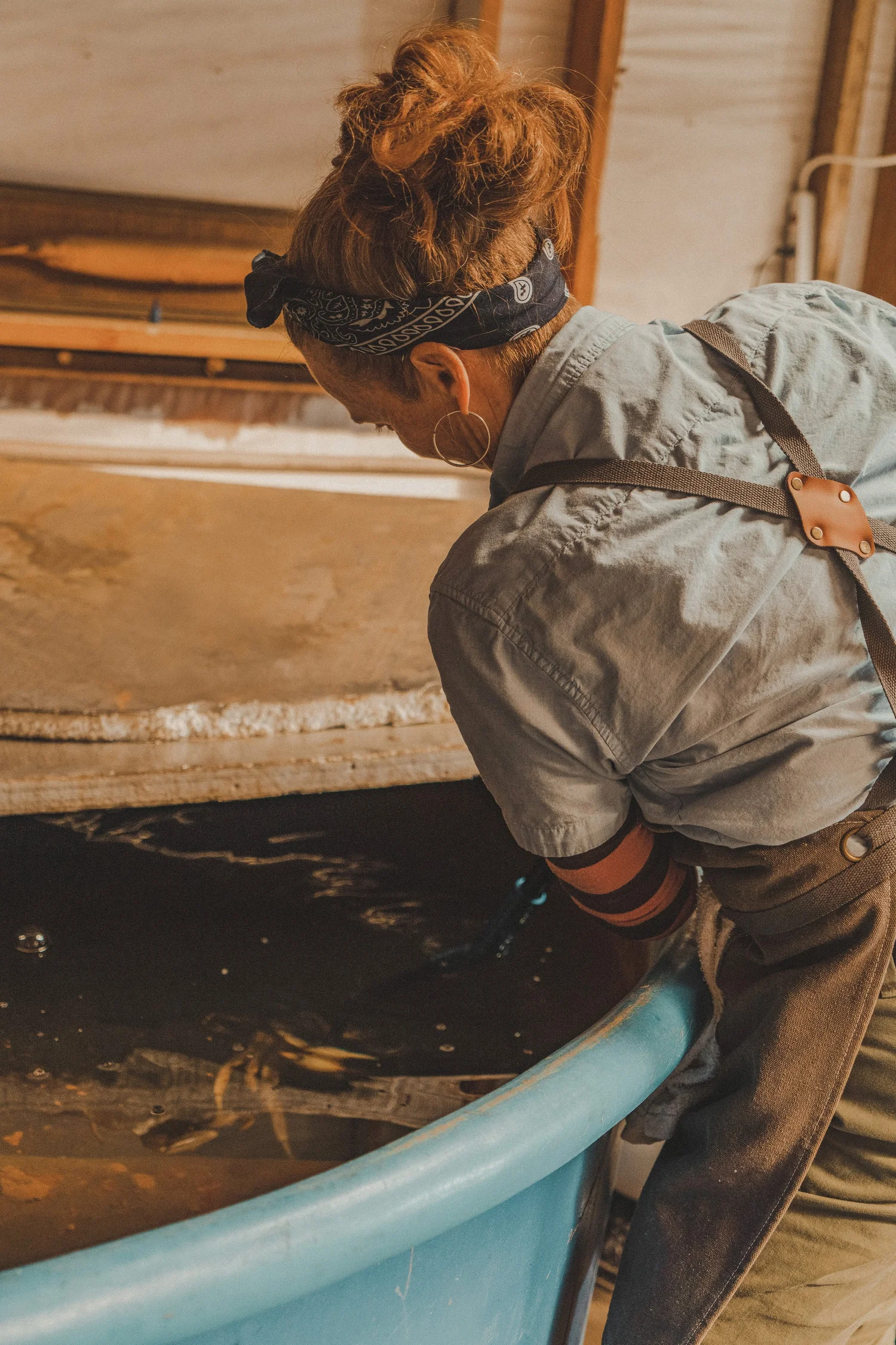 Gallery — Woodward Marine Market