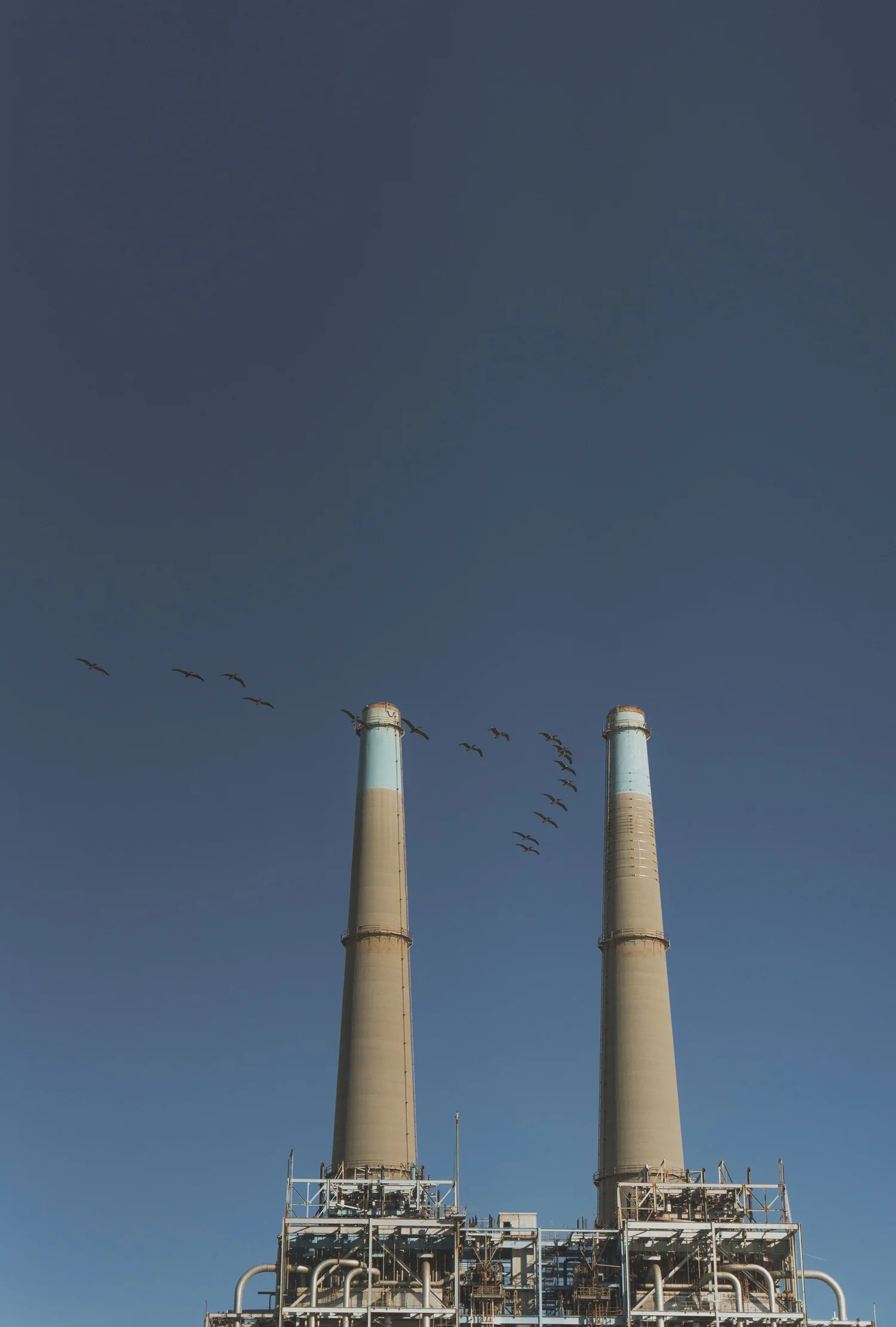 Woodward Marine Market Moss Landing Harbor