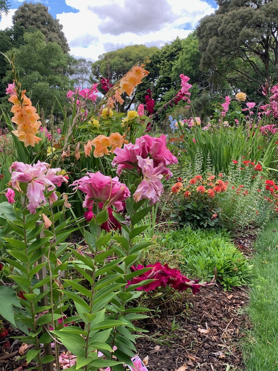 The perennial border