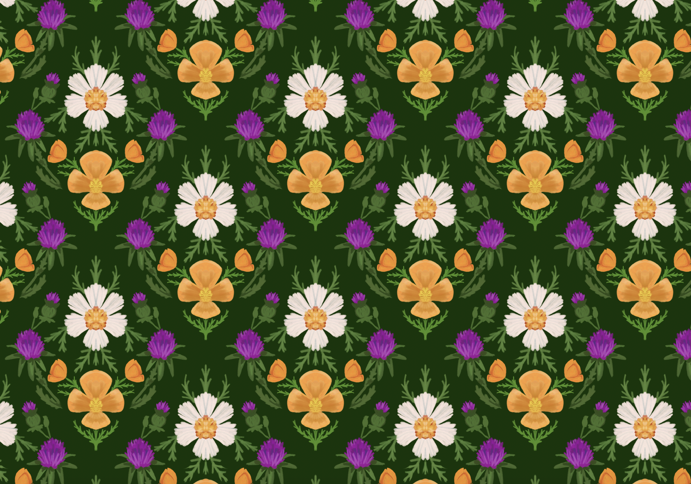 california wildflowers.png