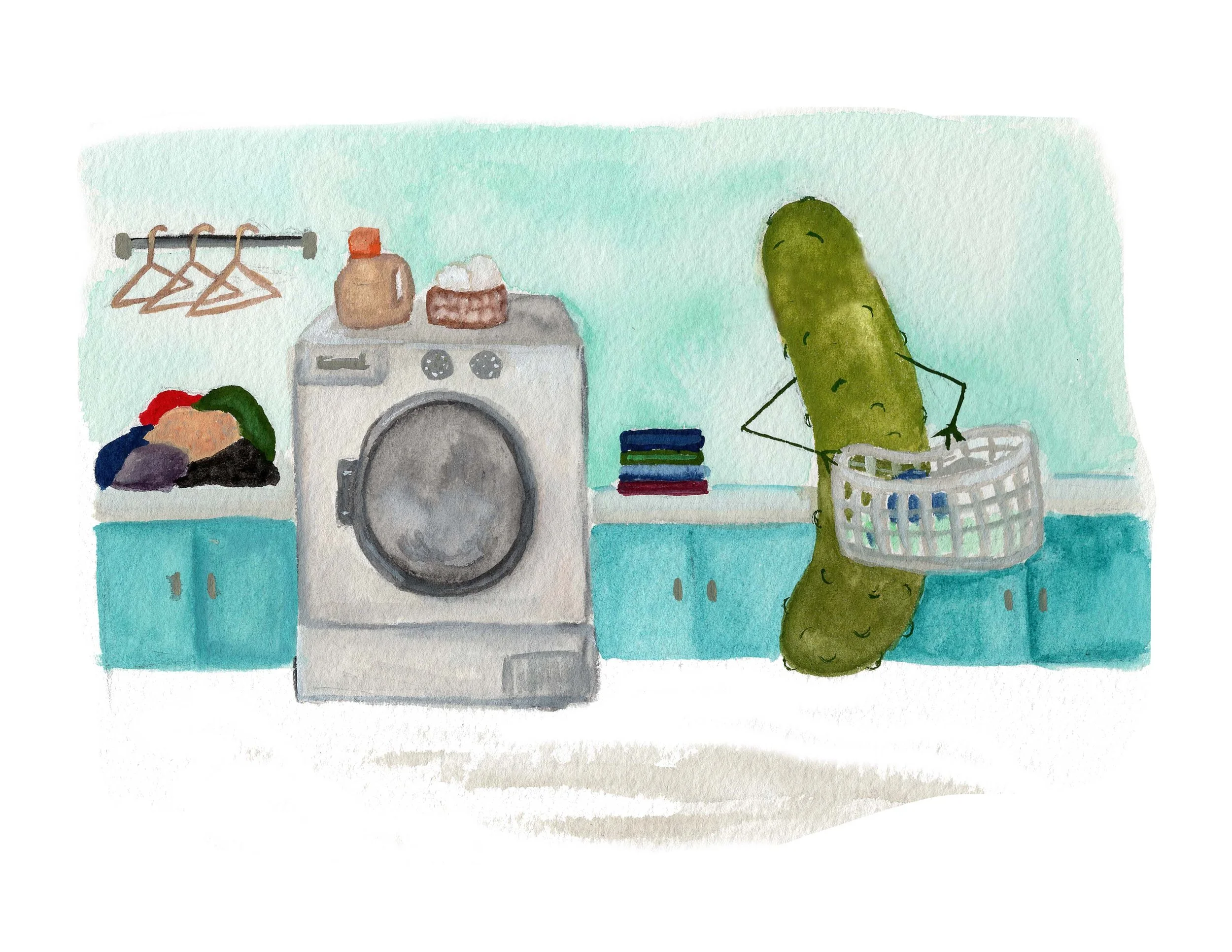 pickle_laundry_nostache.jpg