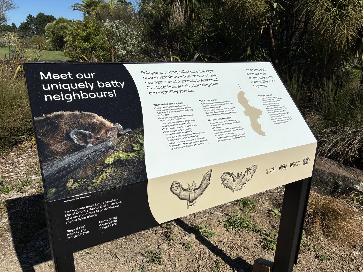 Tamahere Bat Sign — Predator Free Tamahere