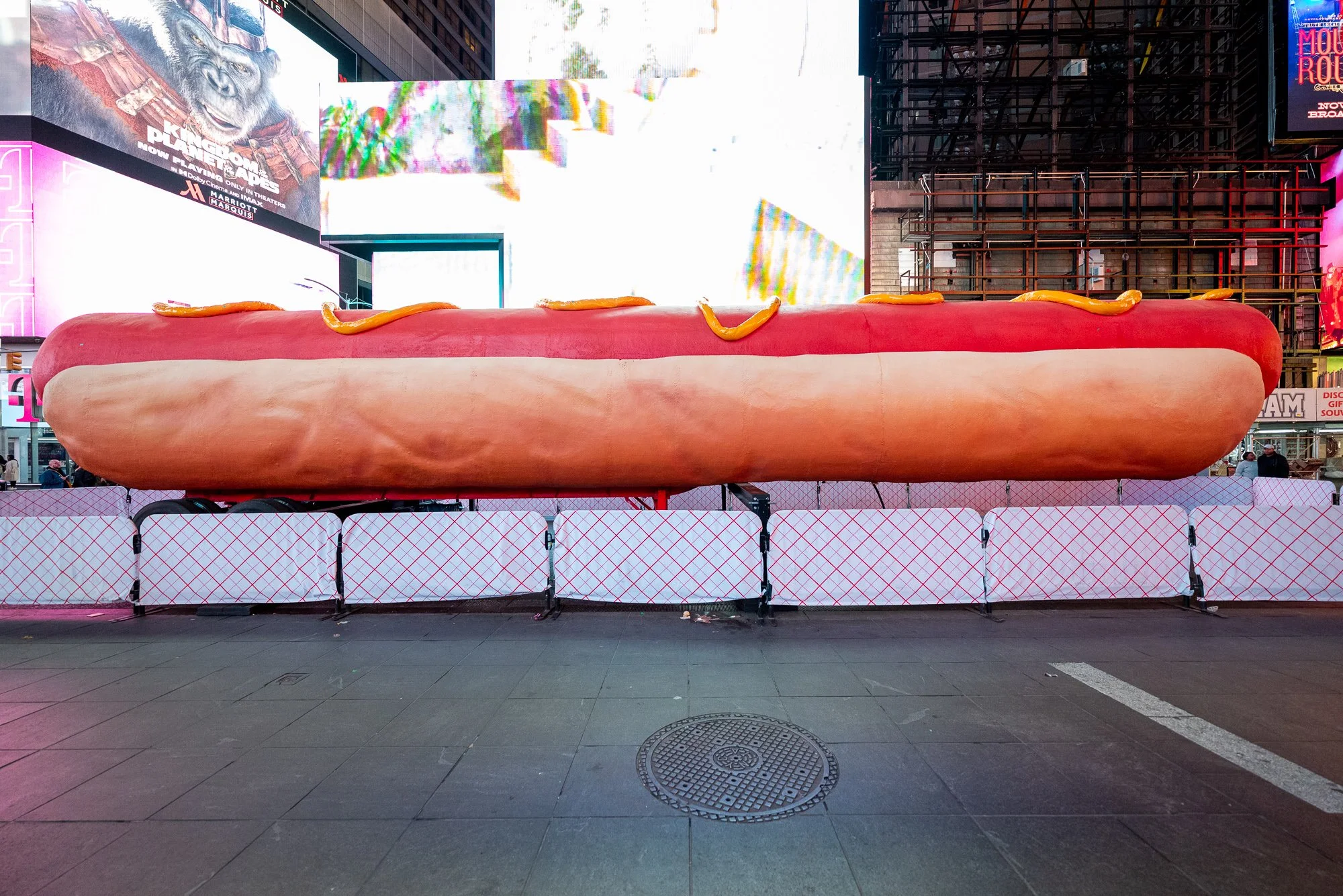"Hot Dog in the City" early morning on Saturday, May 11, 2024.