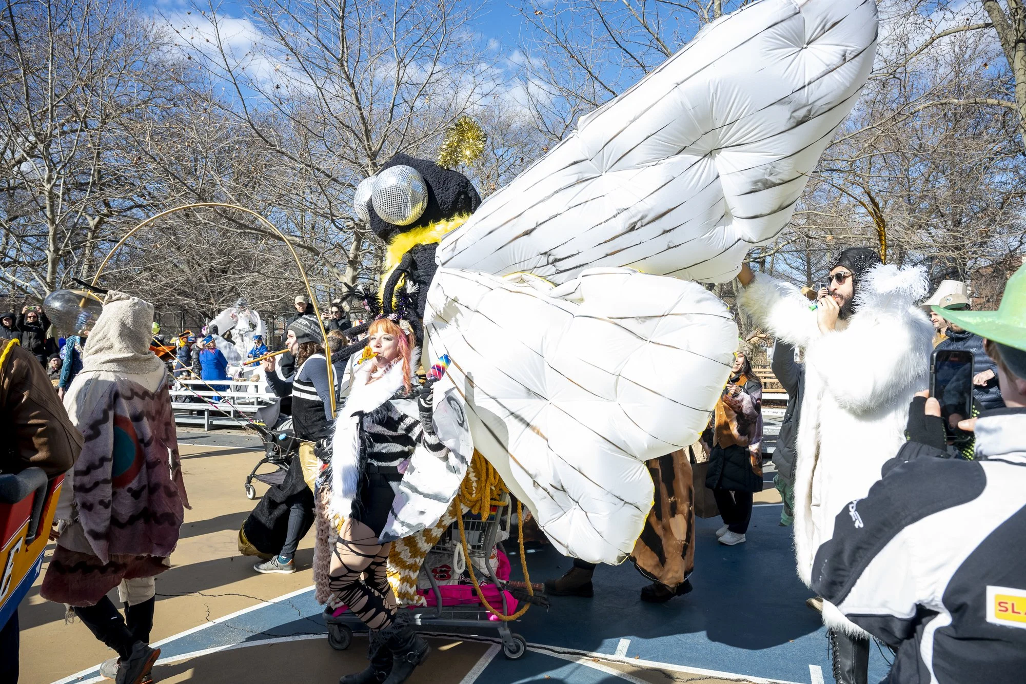 Idiotarod XXII at Cooper Park
