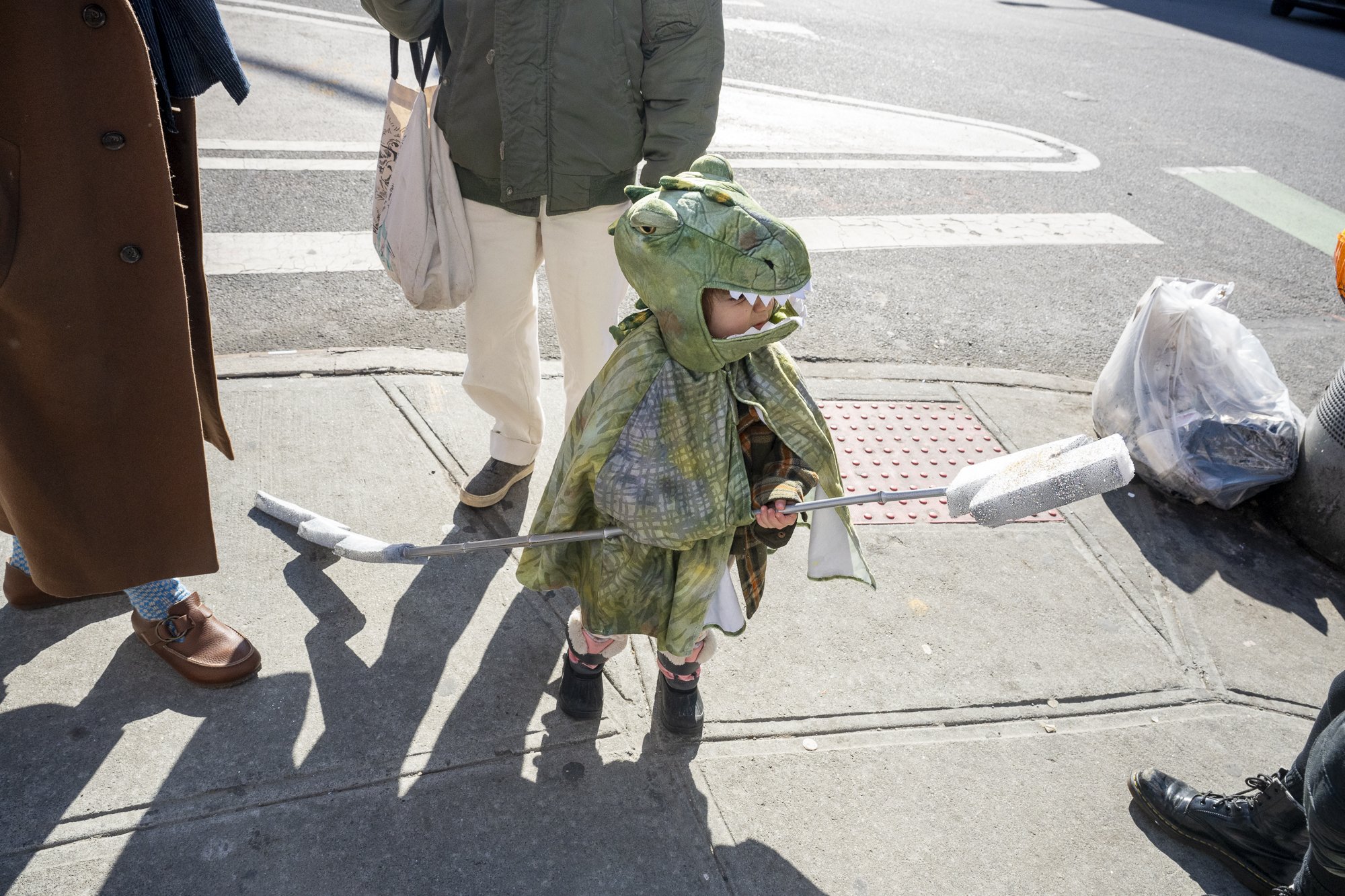 We saw a lizard on our walk to Bushwick Country Club