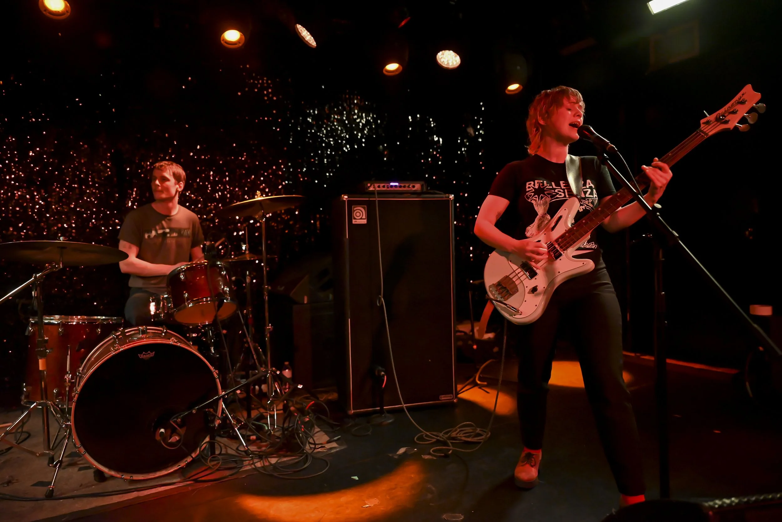 The Bug Club at TV Eye