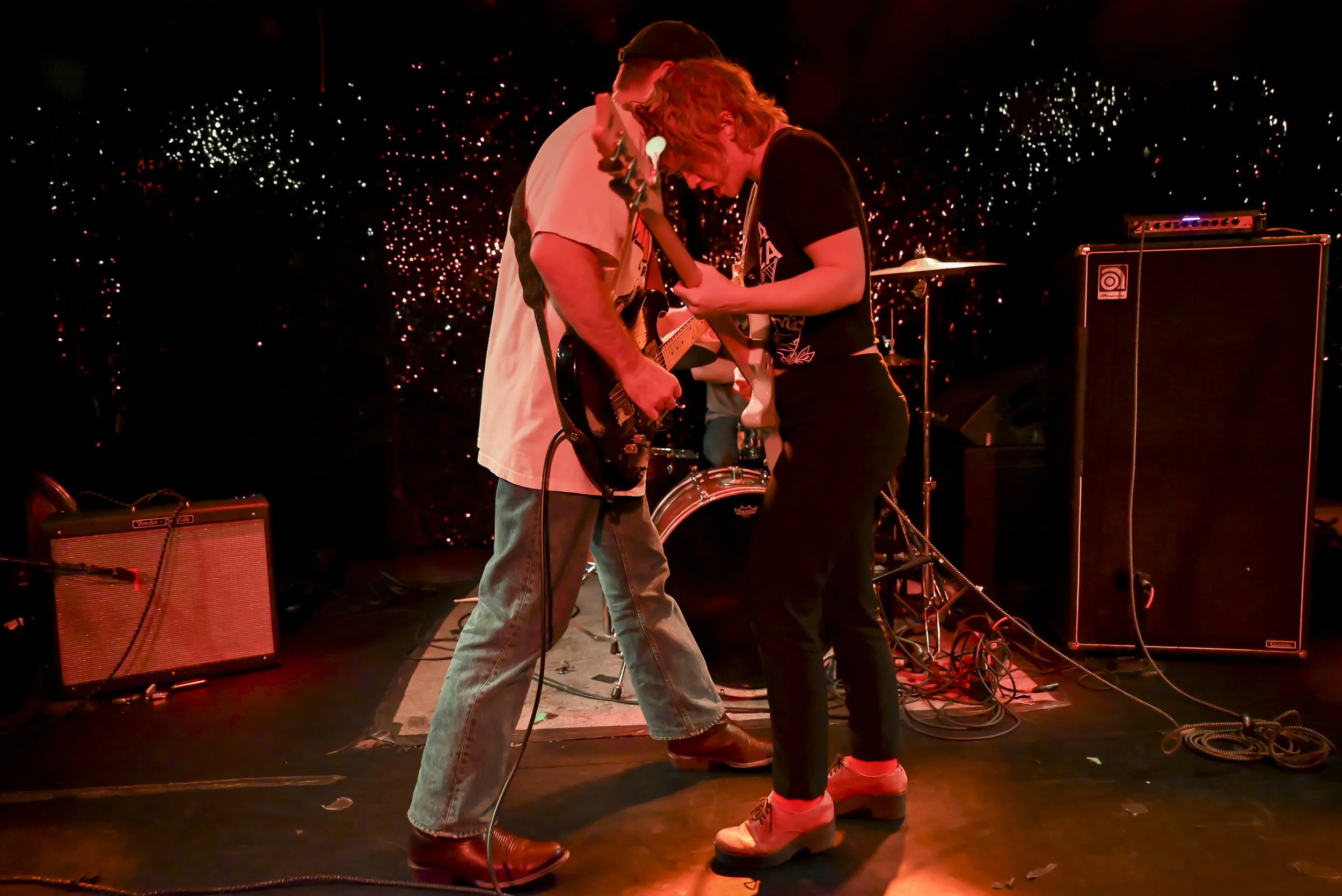 The Bug Club at TV Eye