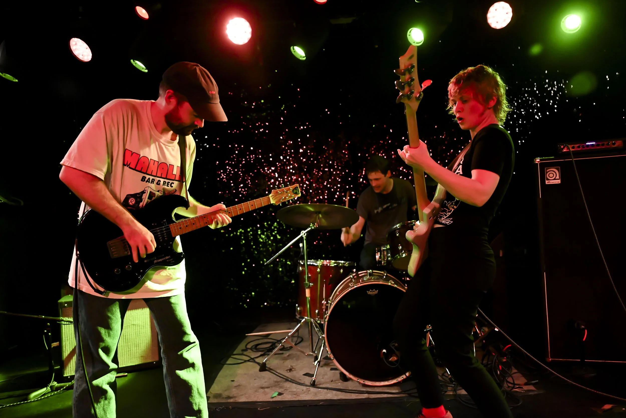 The Bug Club at TV Eye