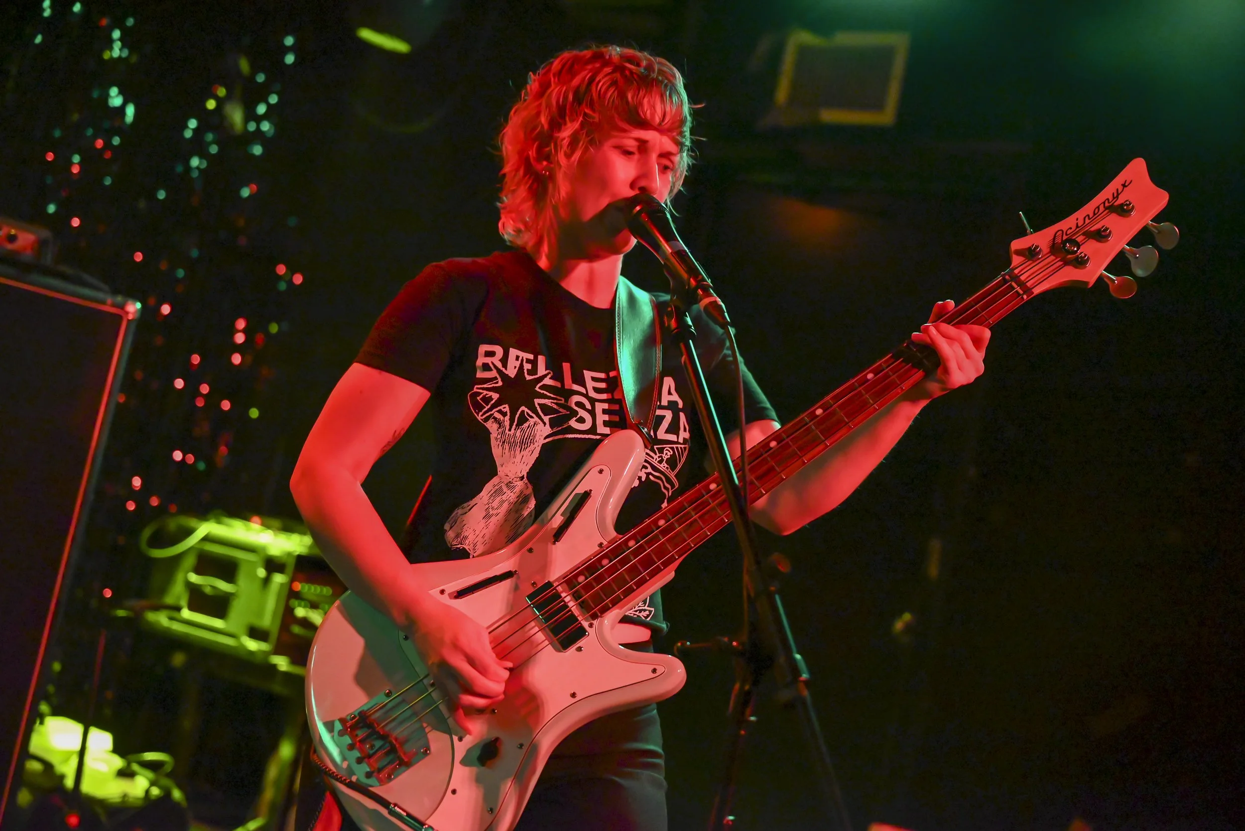 The Bug Club at TV Eye