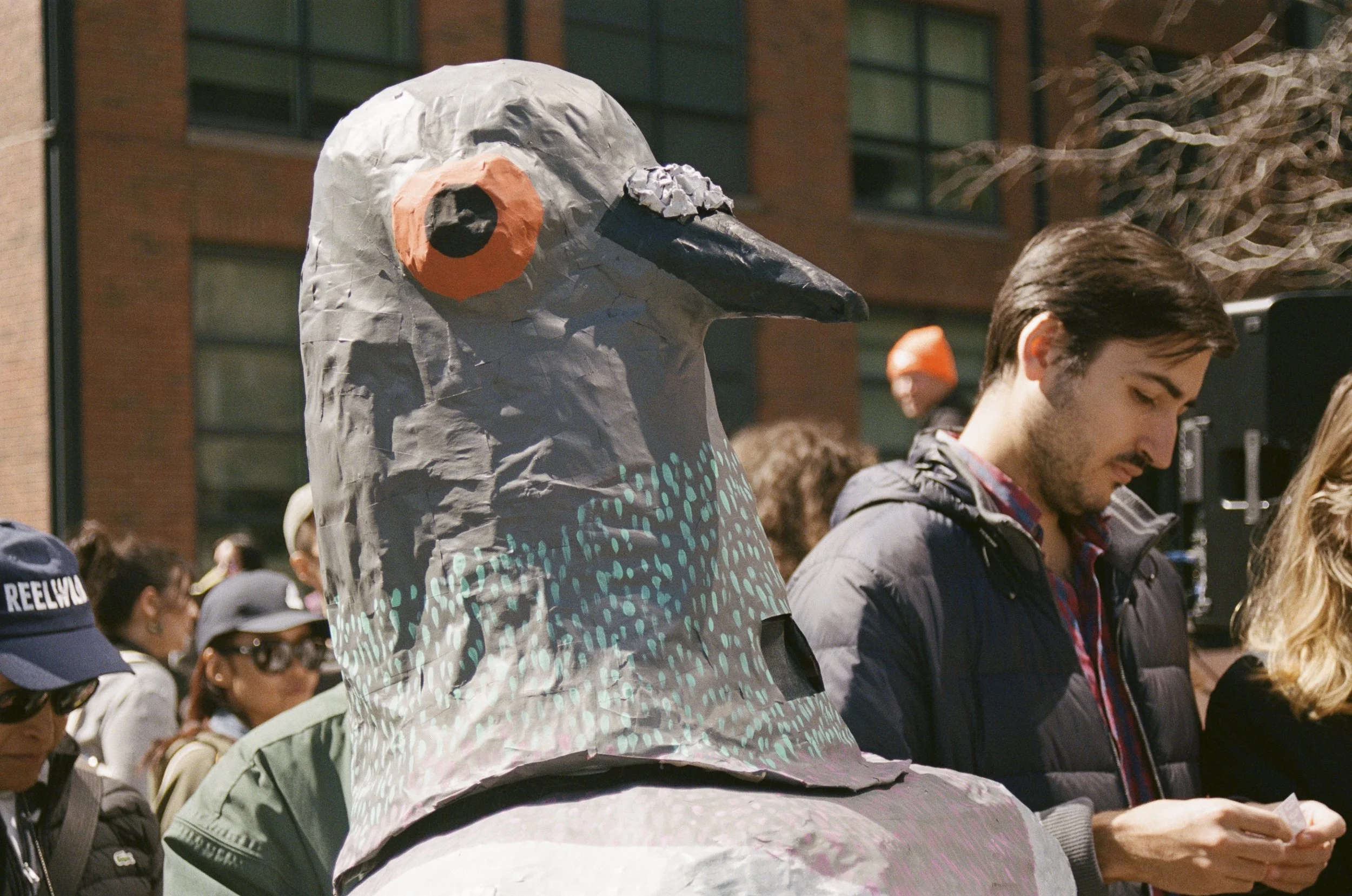 Pigeon, the winner of Pigeon Fest's "Pigeon Impersonation Pageant" in June.