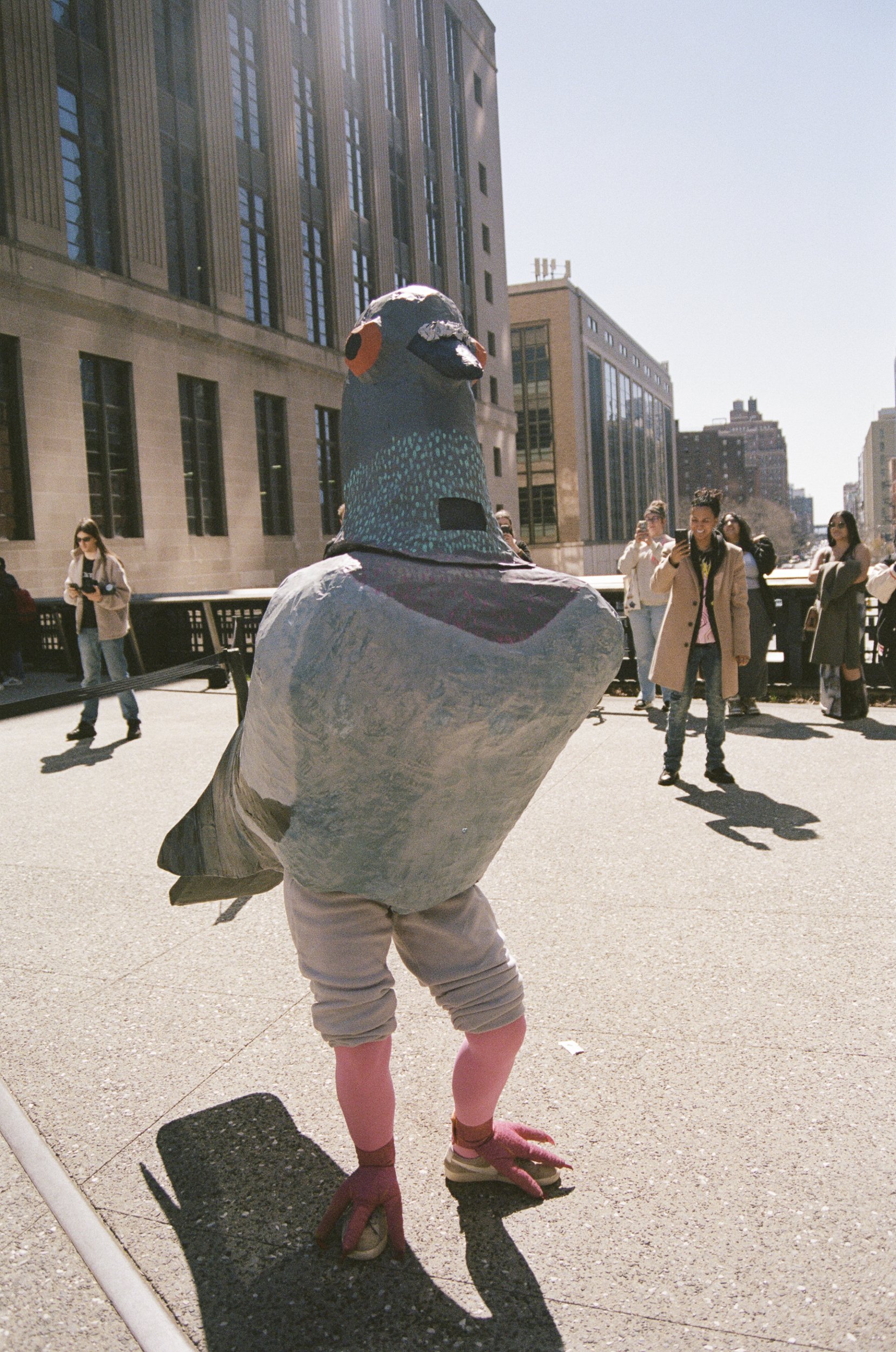 Farewell-Dinosaur-at-The-High-Line-by-Edwina-Hay-000089880022.jpg