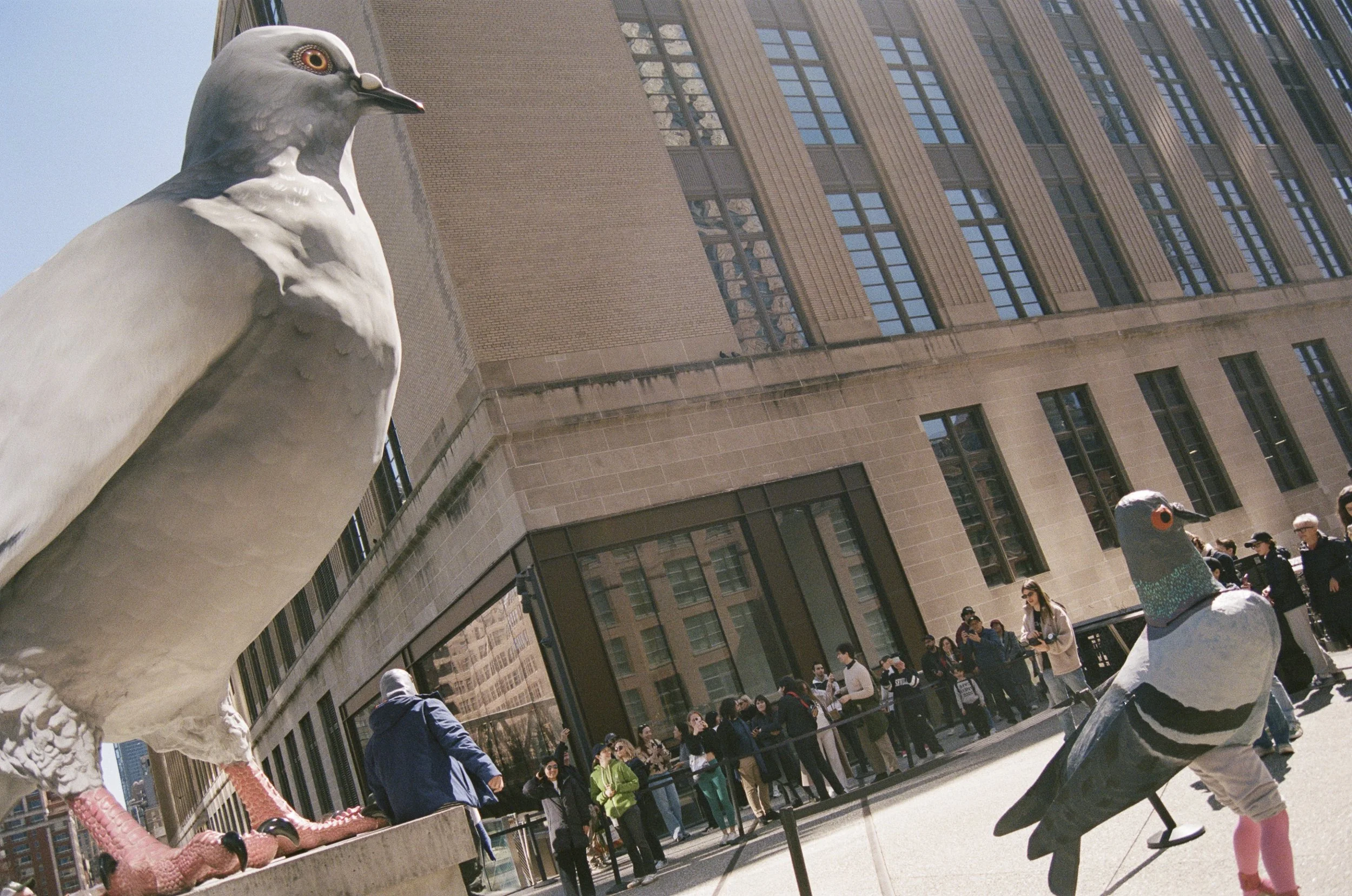 Dinosaur with Pigeon (Miriam Abrahams)