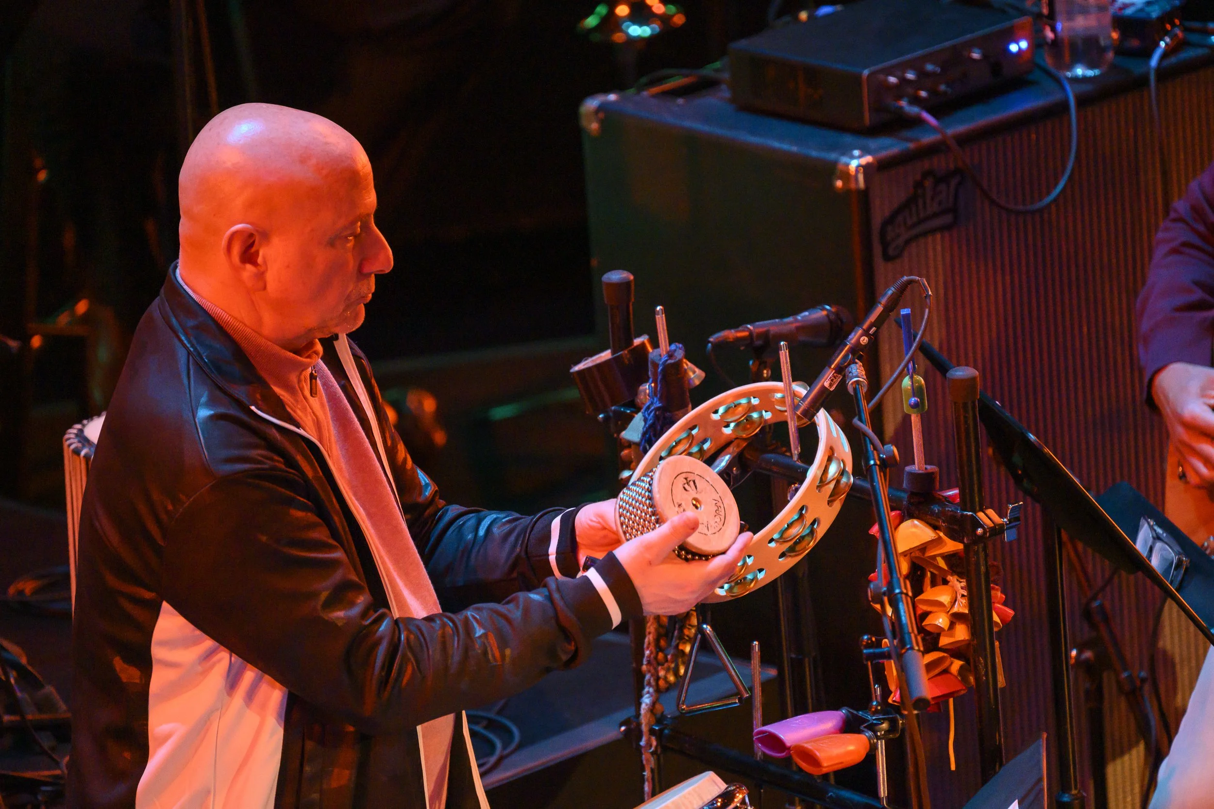 Daniel Sadownick during Stevie: A Life in the Key of Songs