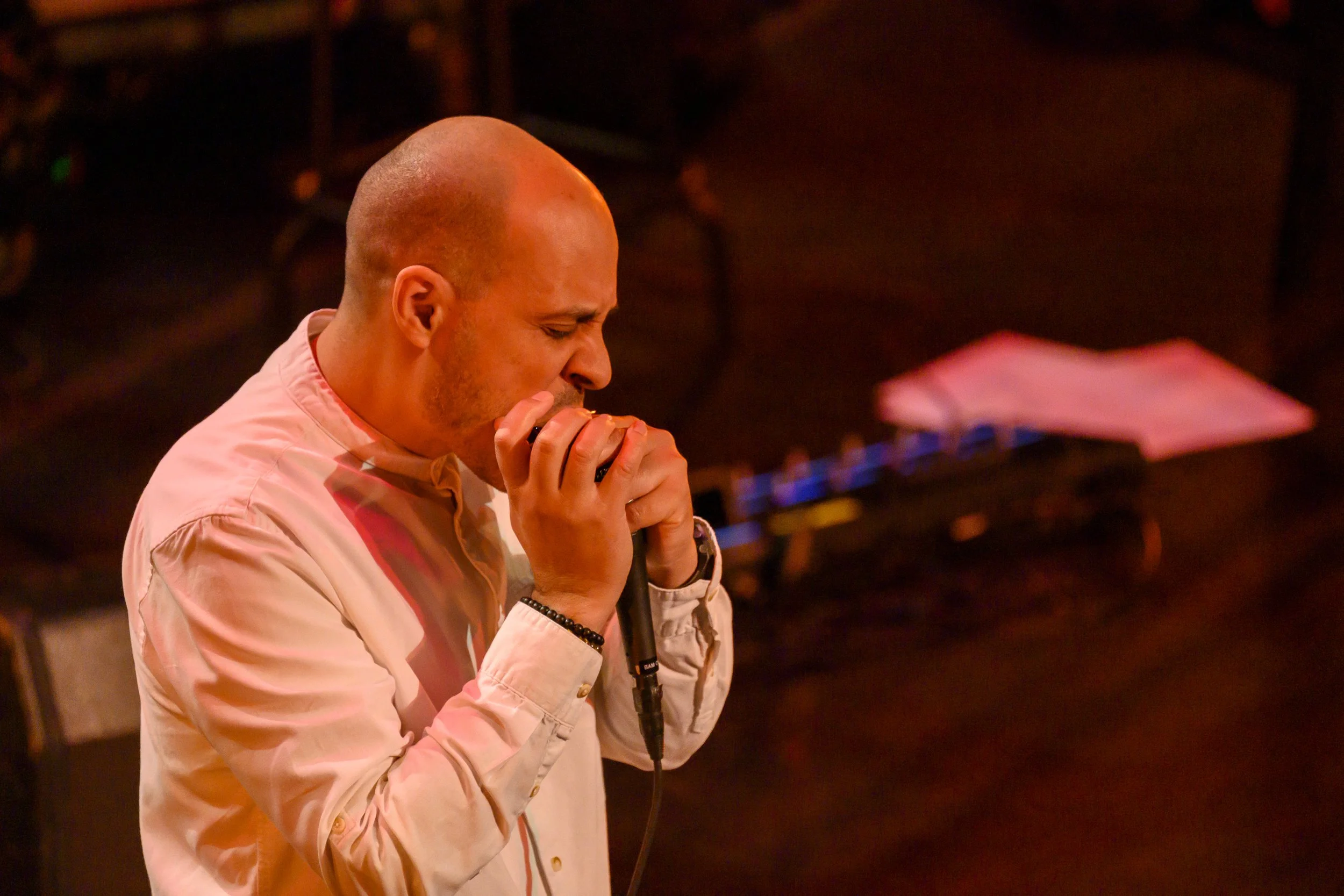 Grégoire Maret during Stevie: A Life in the Key of Songs