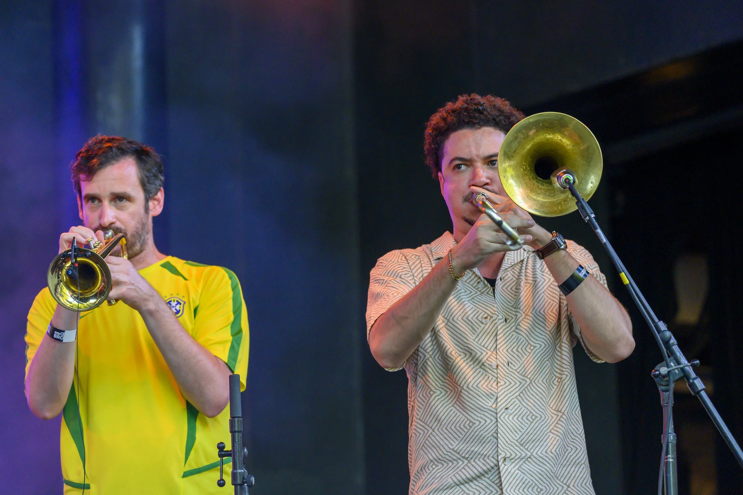 Antibalas at BRIC Celebrate Brooklyn!