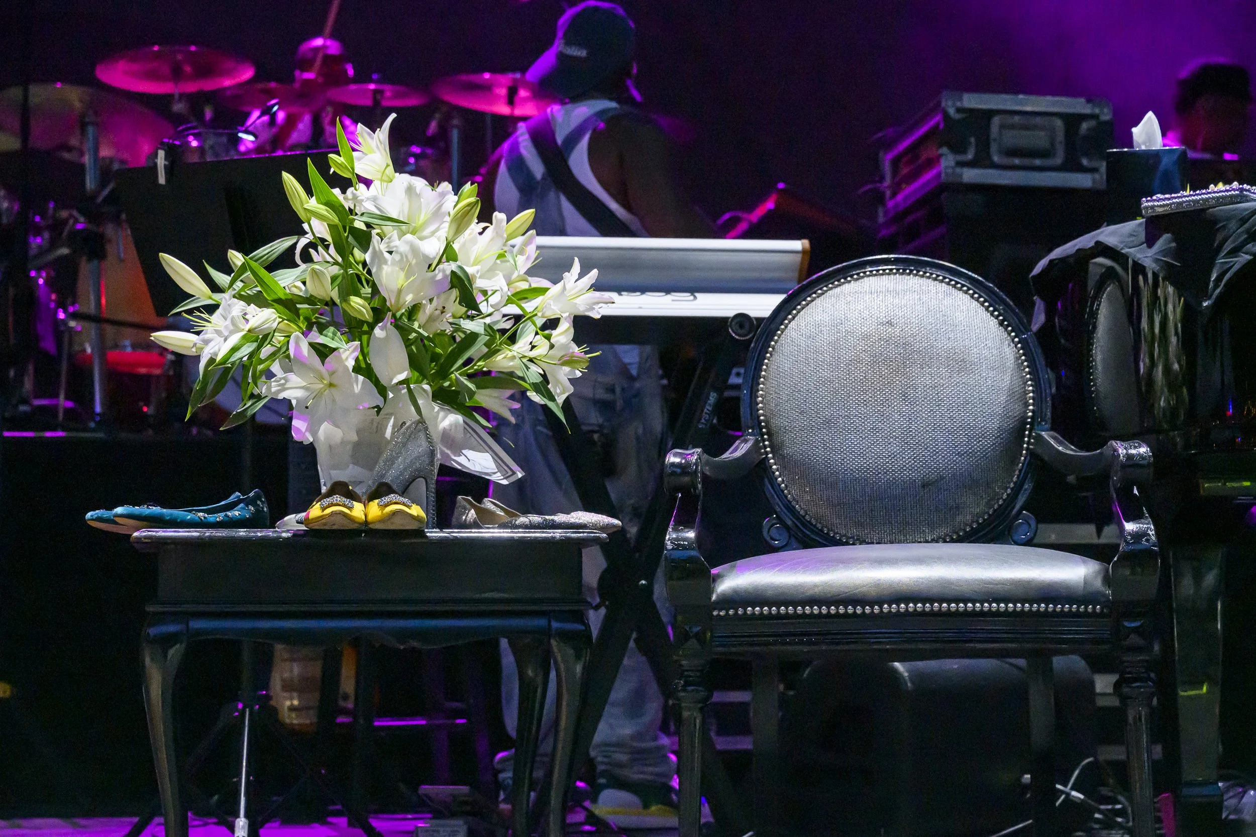 Patti-LaBelle-at-BRIC-Celebrate-Brooklyn-by-Edwina-Hay-0566.jpg